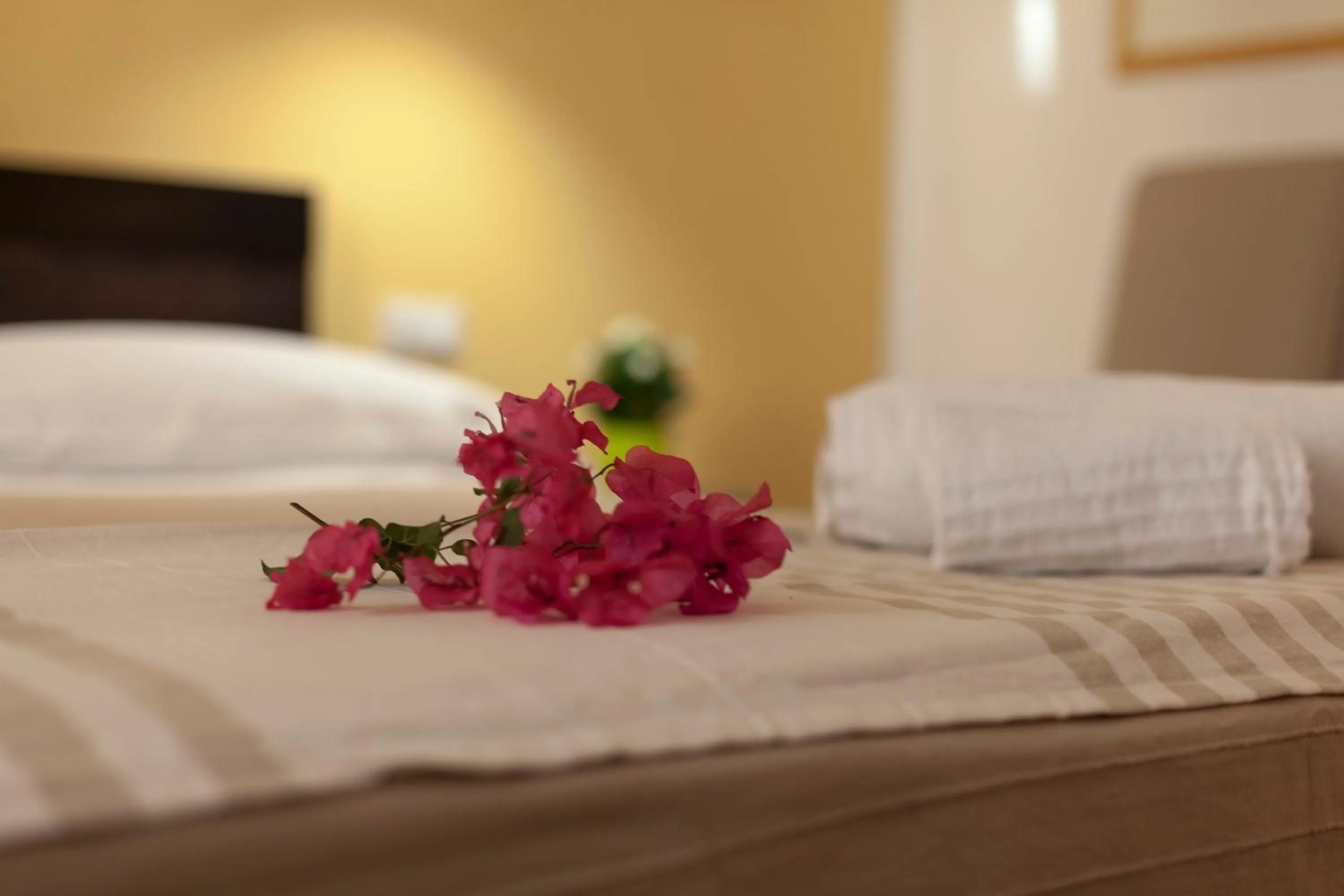 Decorative detail, Bed in Piazza Marina