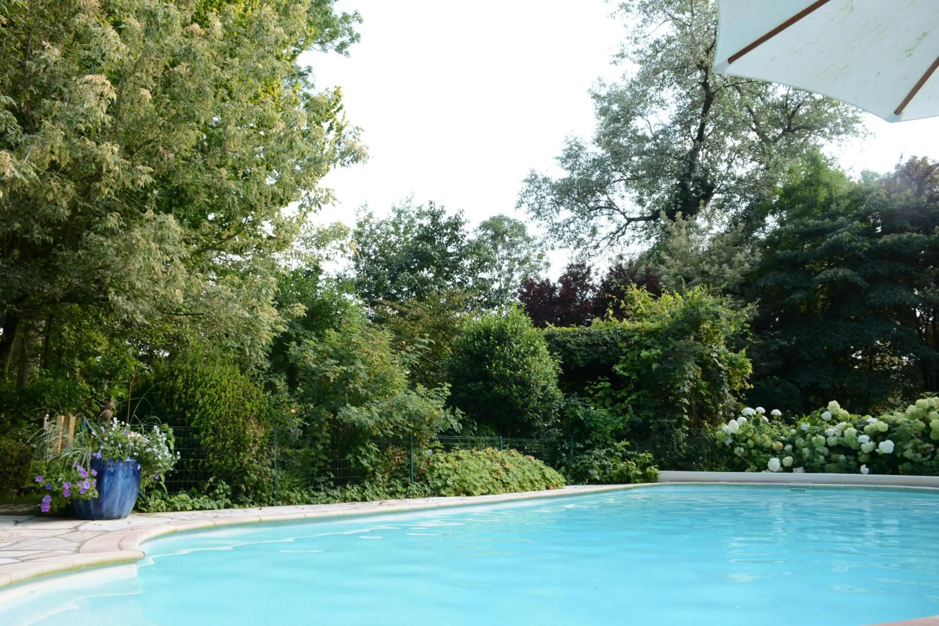 Summer in La Roseraie