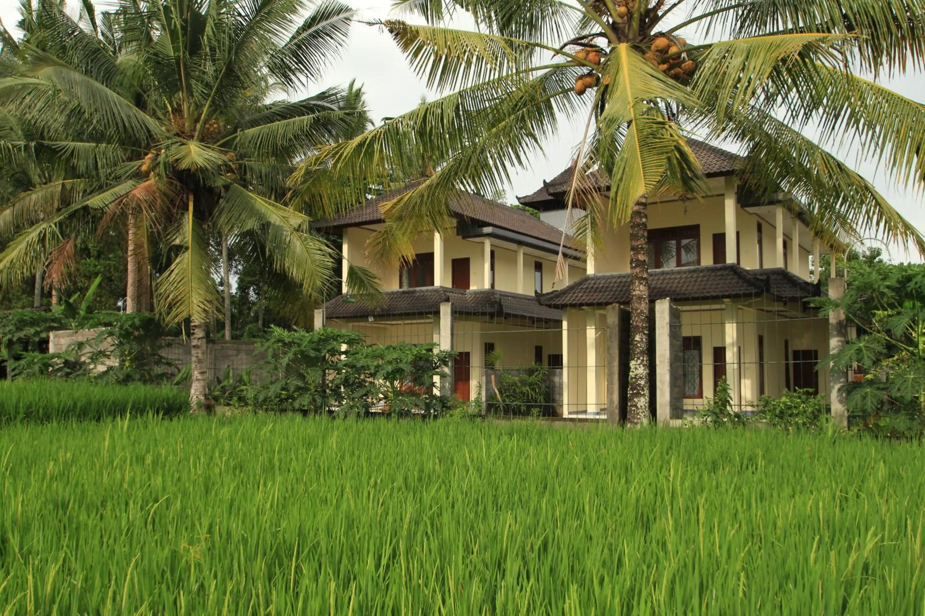 Property building in Uma Capung Mas Cottage