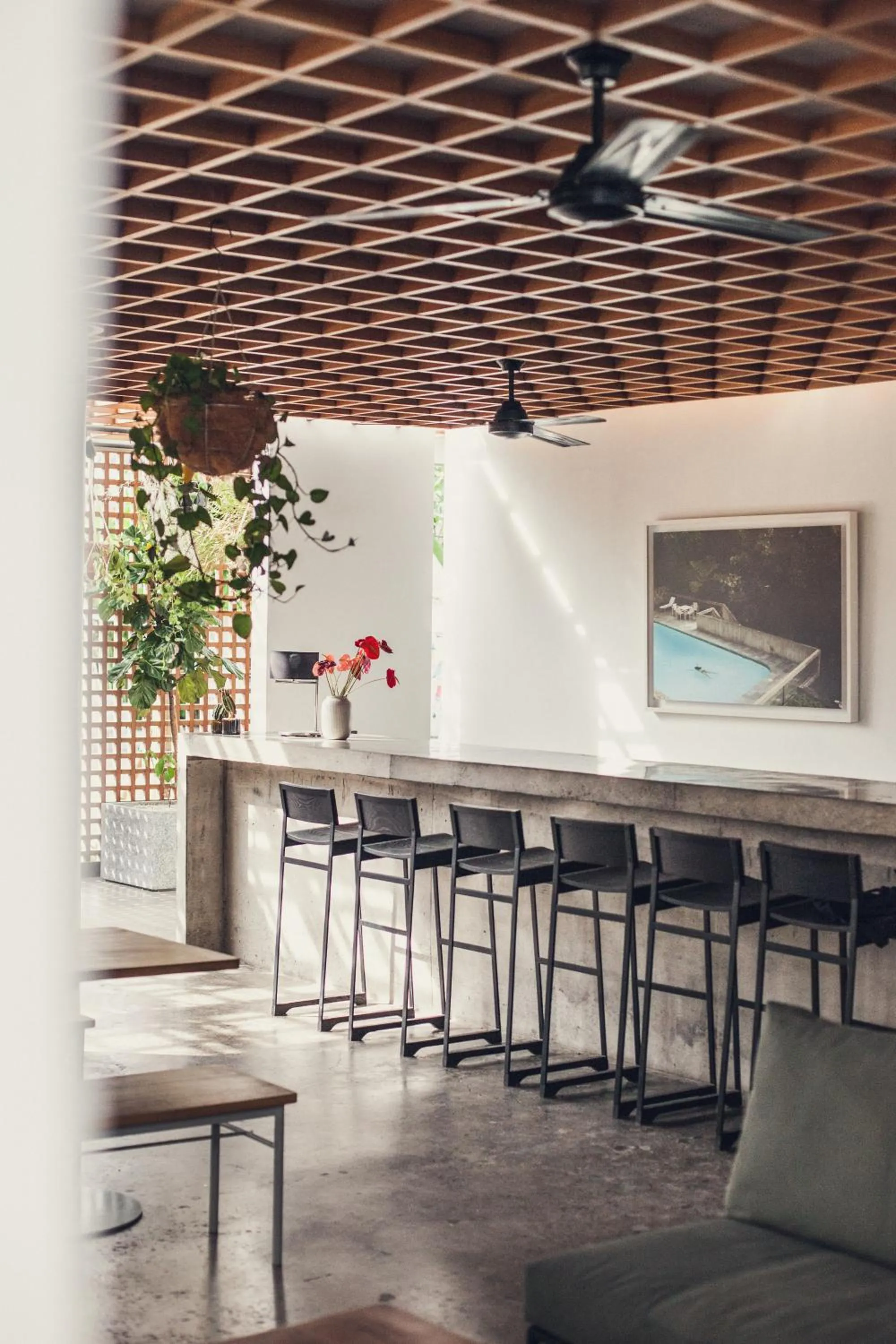 Lounge or bar in The Slow