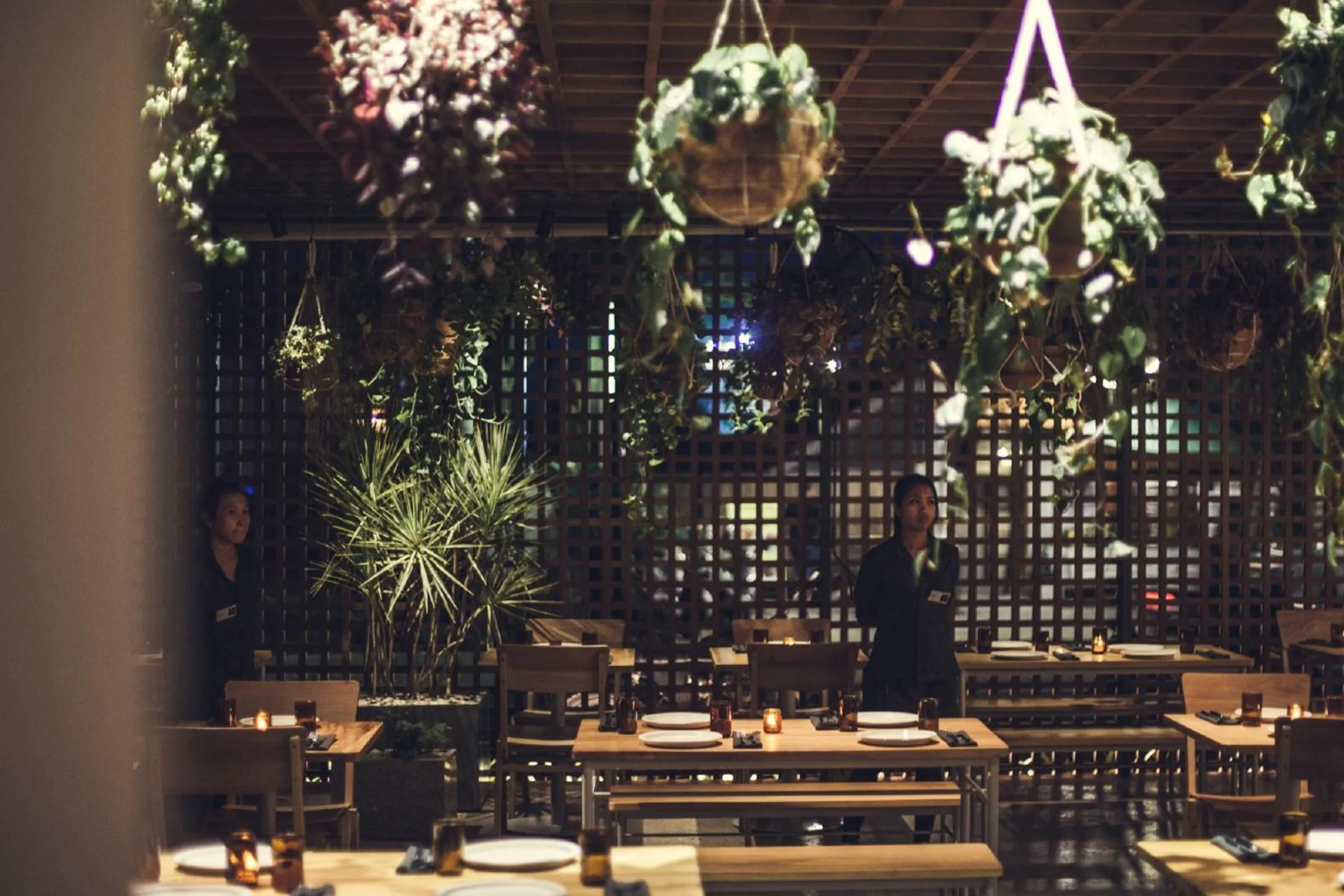 Restaurant/places to eat in The Slow