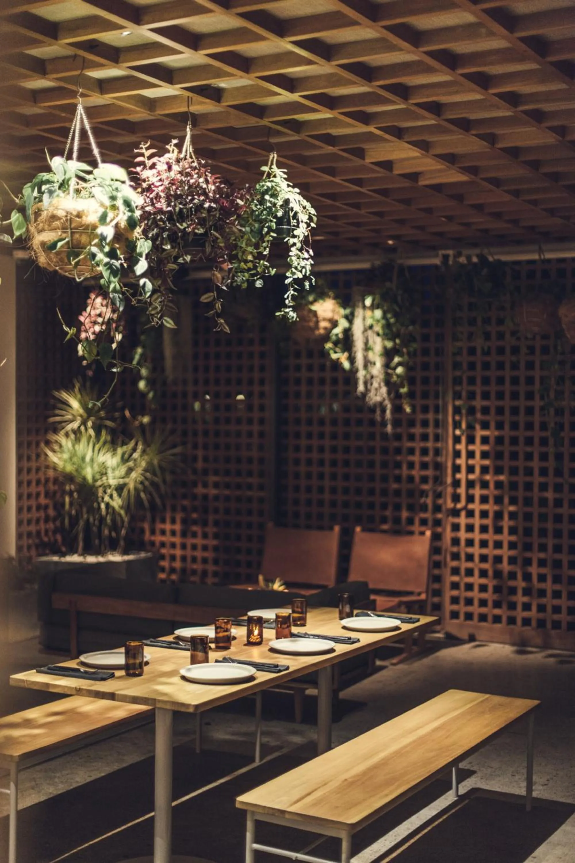 Restaurant/places to eat in The Slow