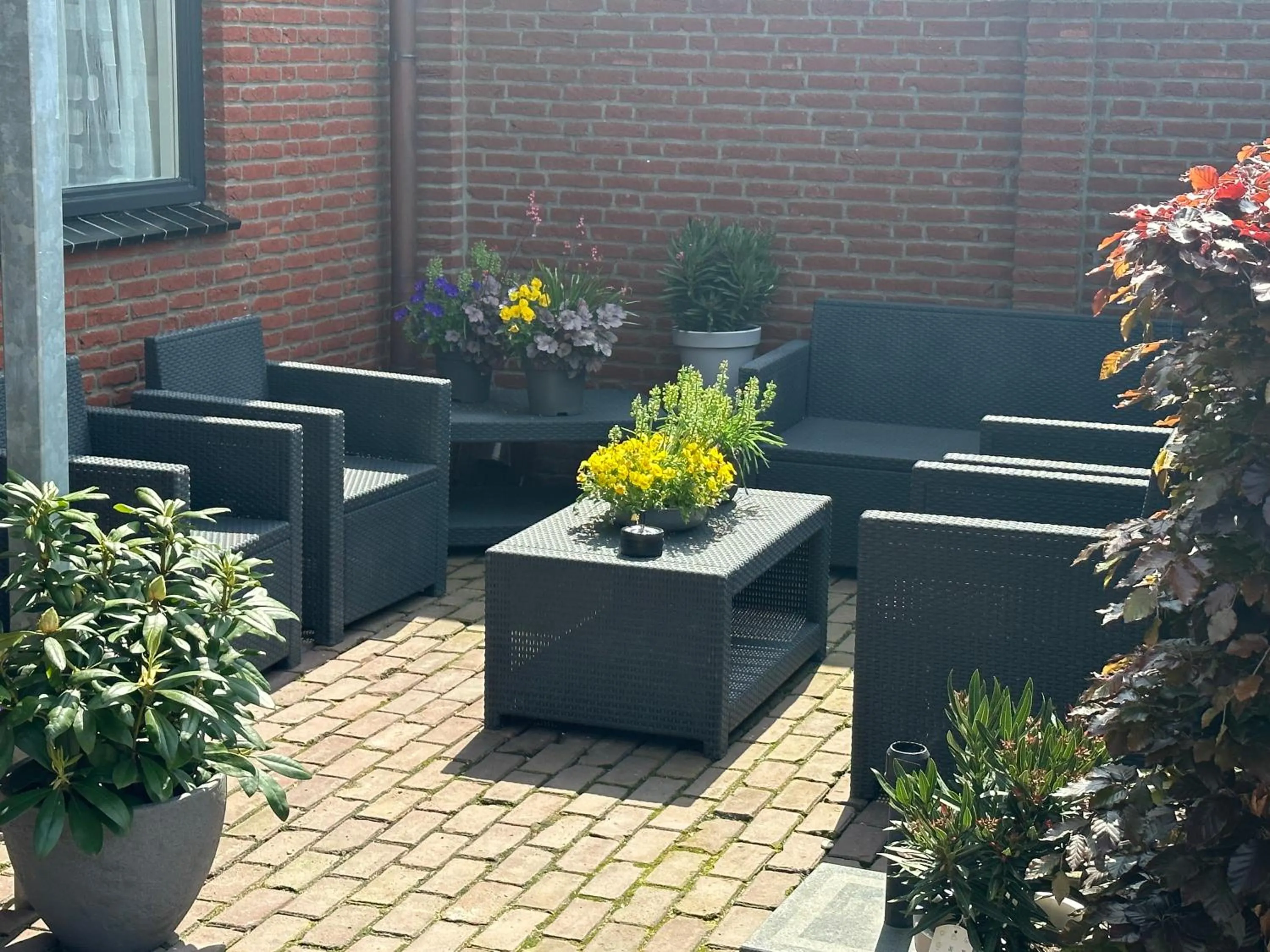 Garden in Bed&Breakfast de Hooimoat