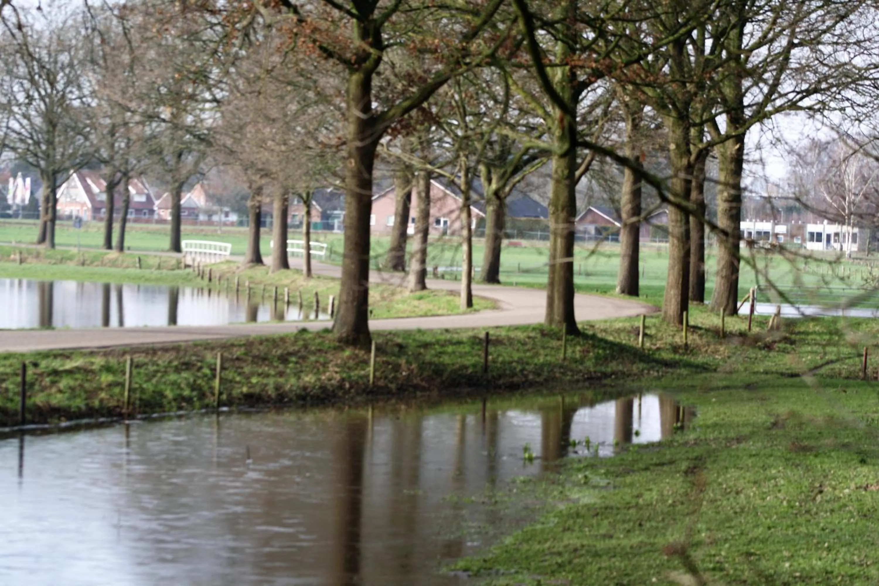 Spring in Bed&Breakfast de Hooimoat