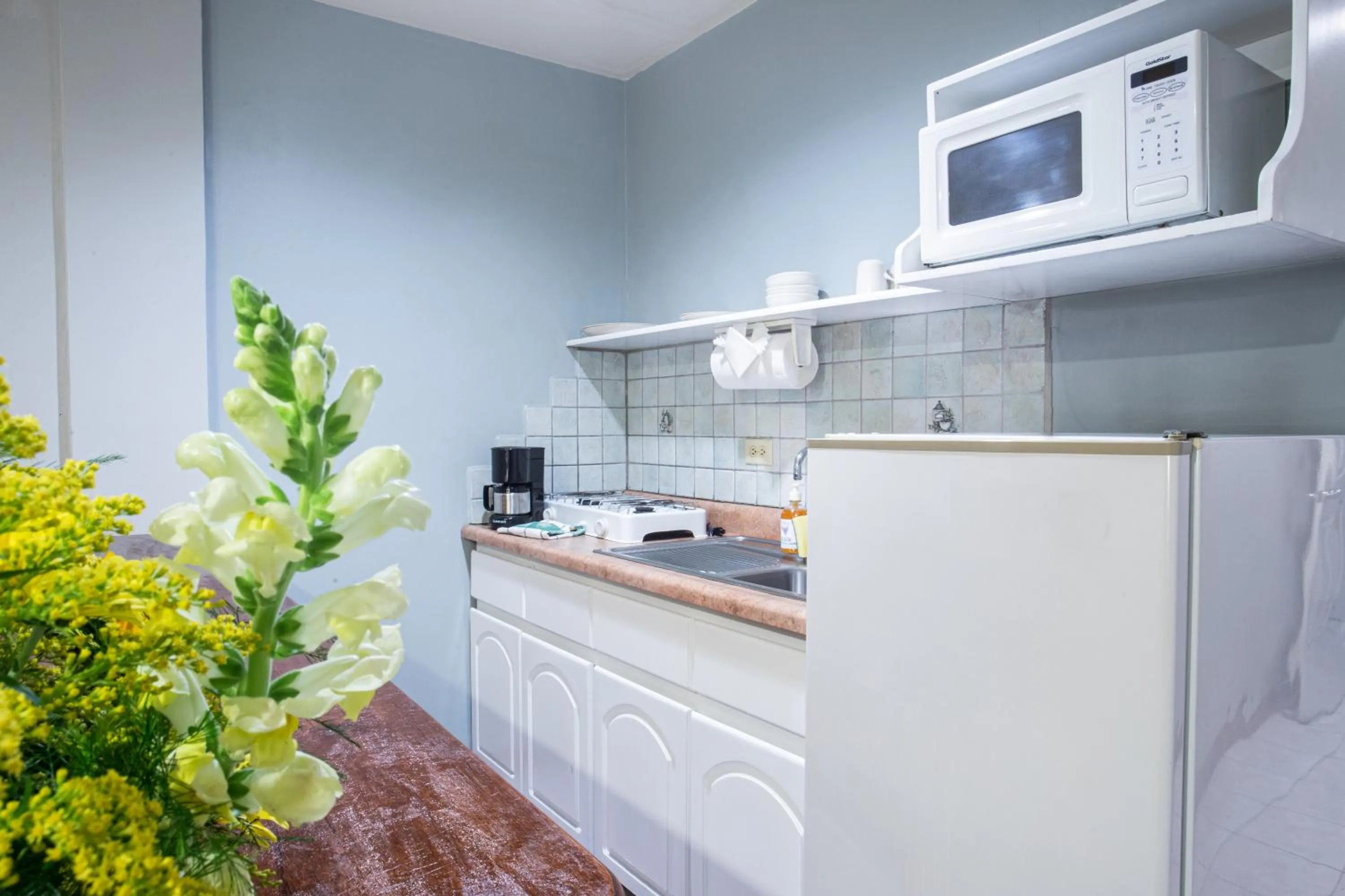 Kitchen or kitchenette in Apartotel Tairona