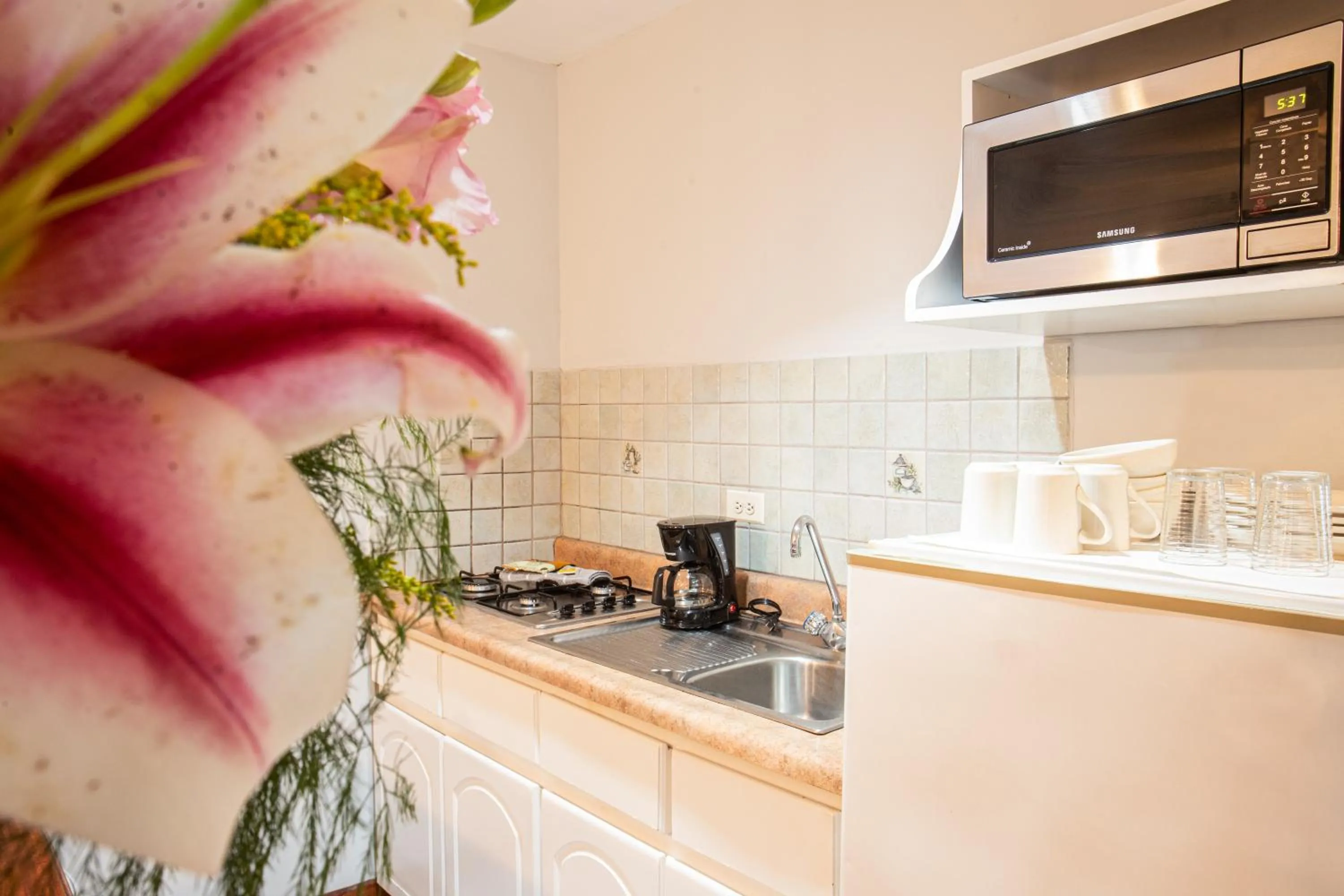 Kitchen or kitchenette in Apartotel Tairona