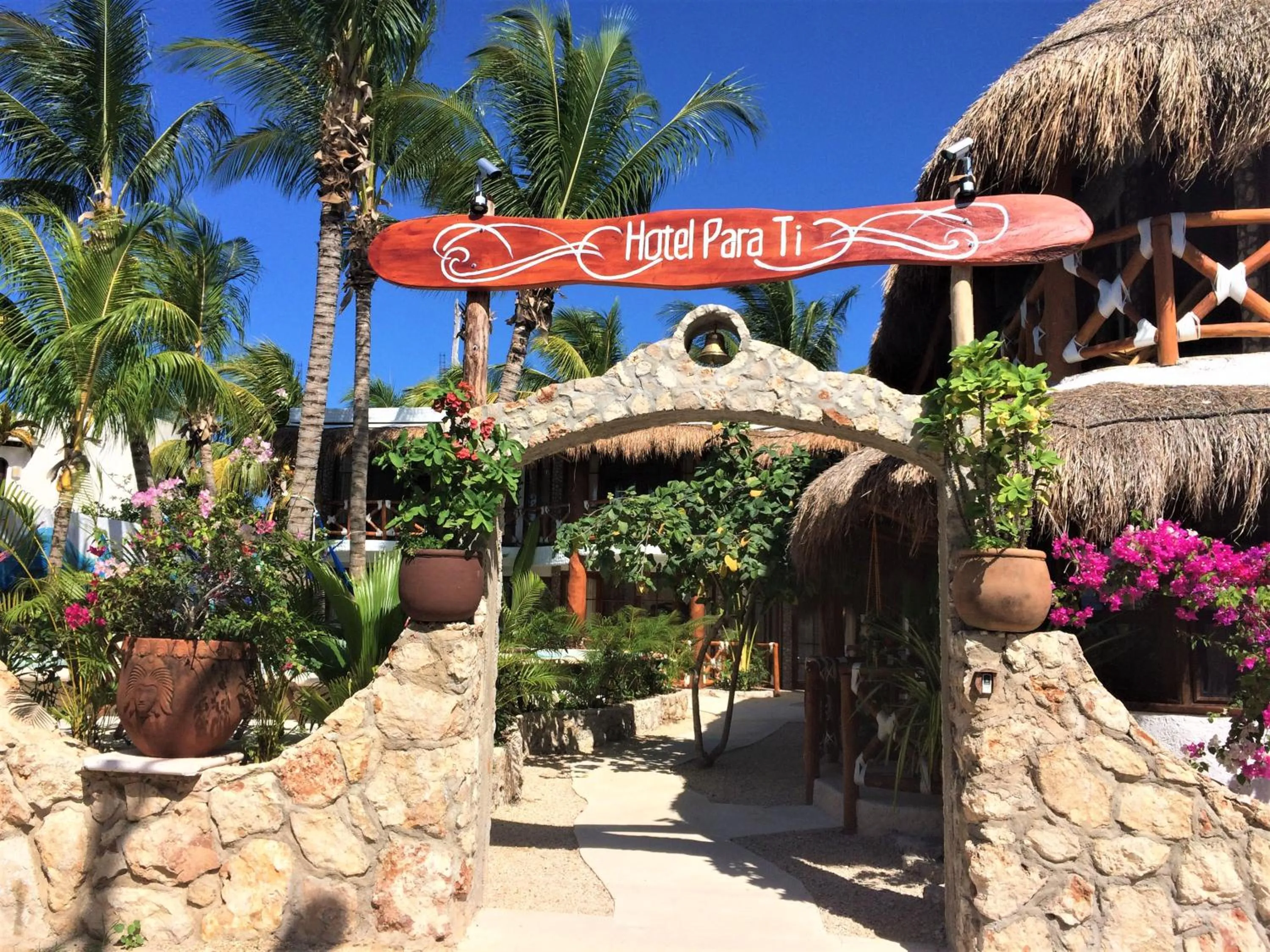 Garden in Hotel Para Ti - Adults Only