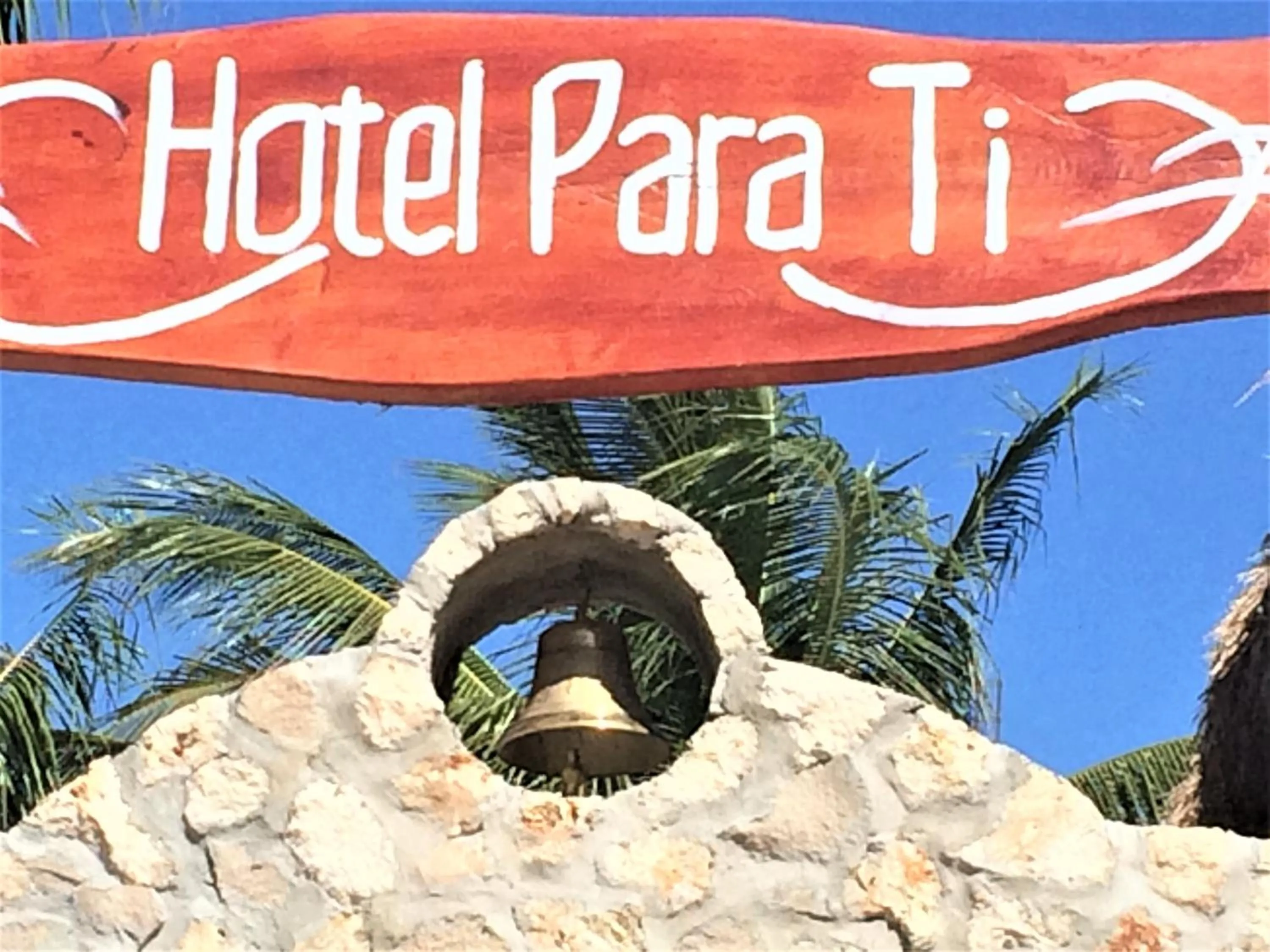 Area and facilities in Hotel Para Ti - Adults Only