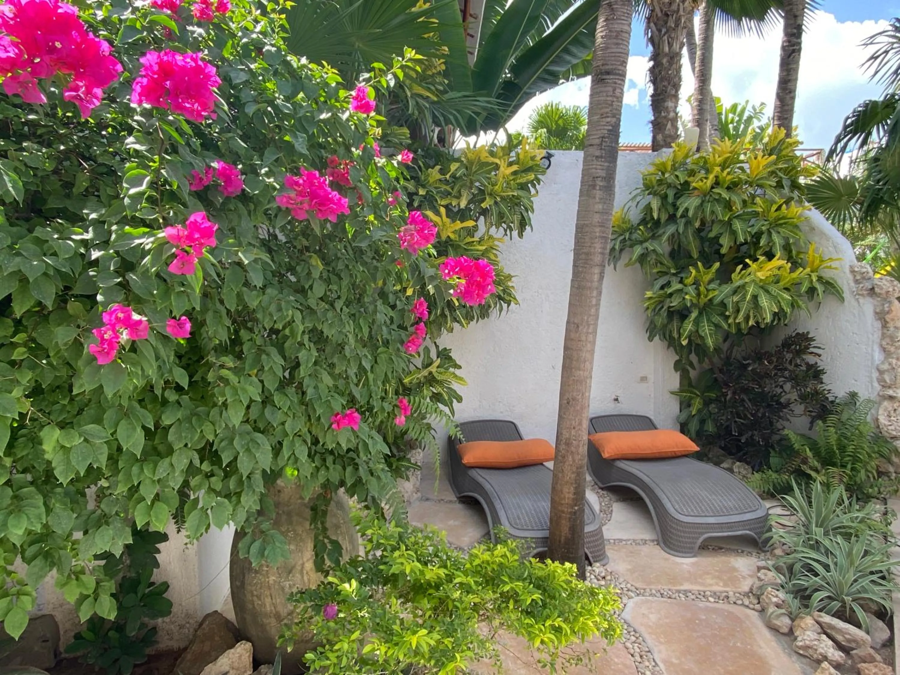 Garden in Hotel Para Ti - Adults Only