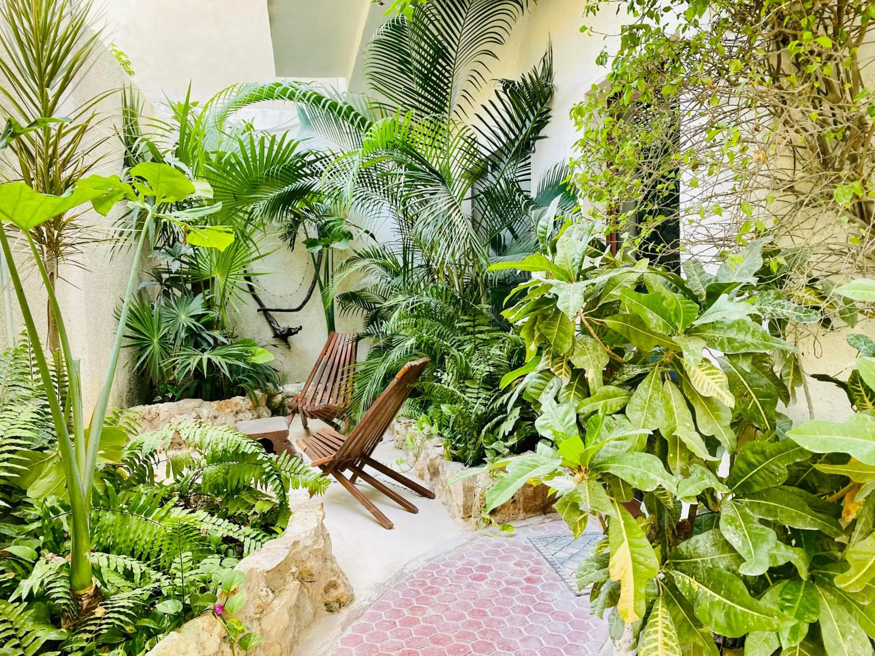 Garden in Hotel Para Ti - Adults Only