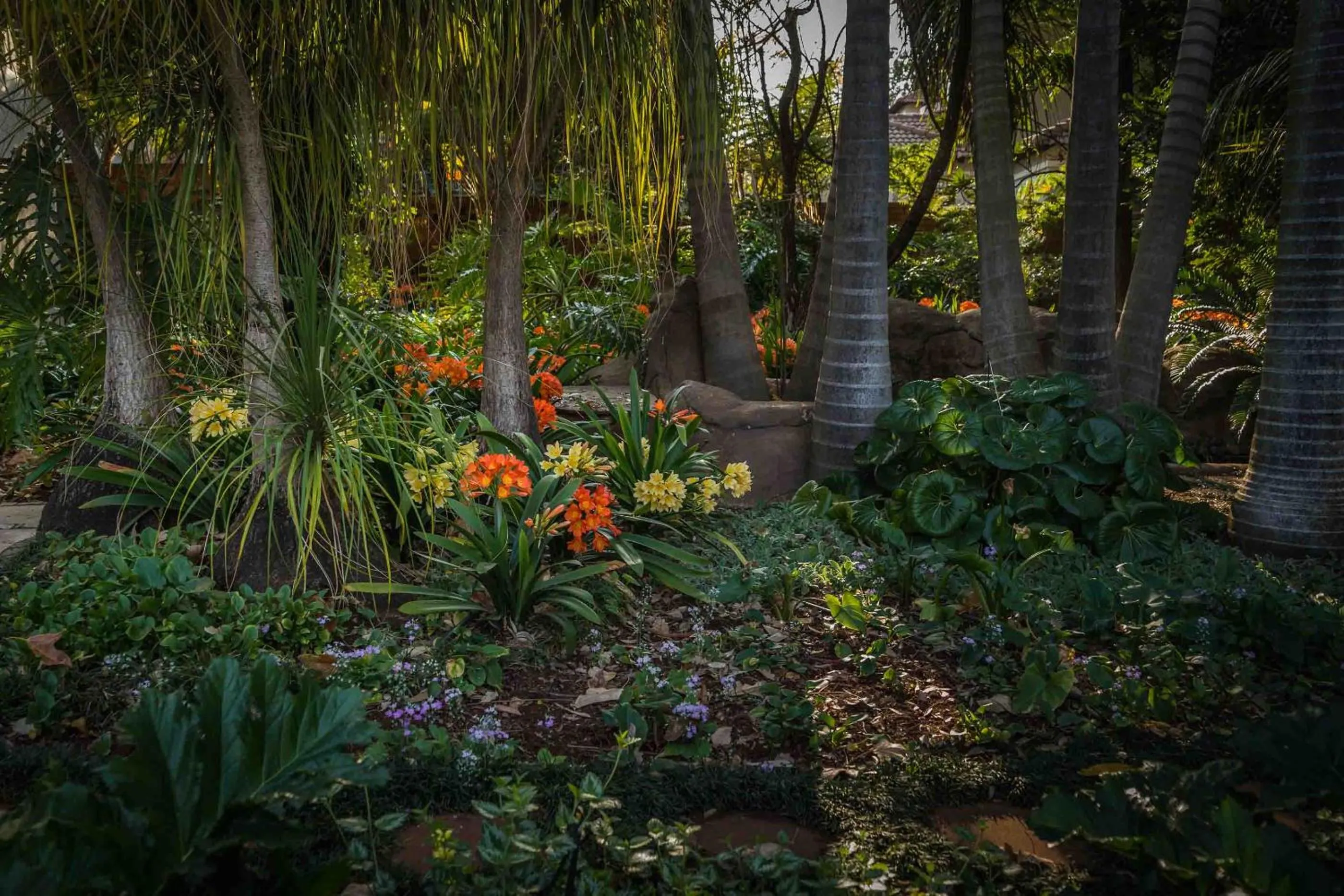 Garden in Hudson House
