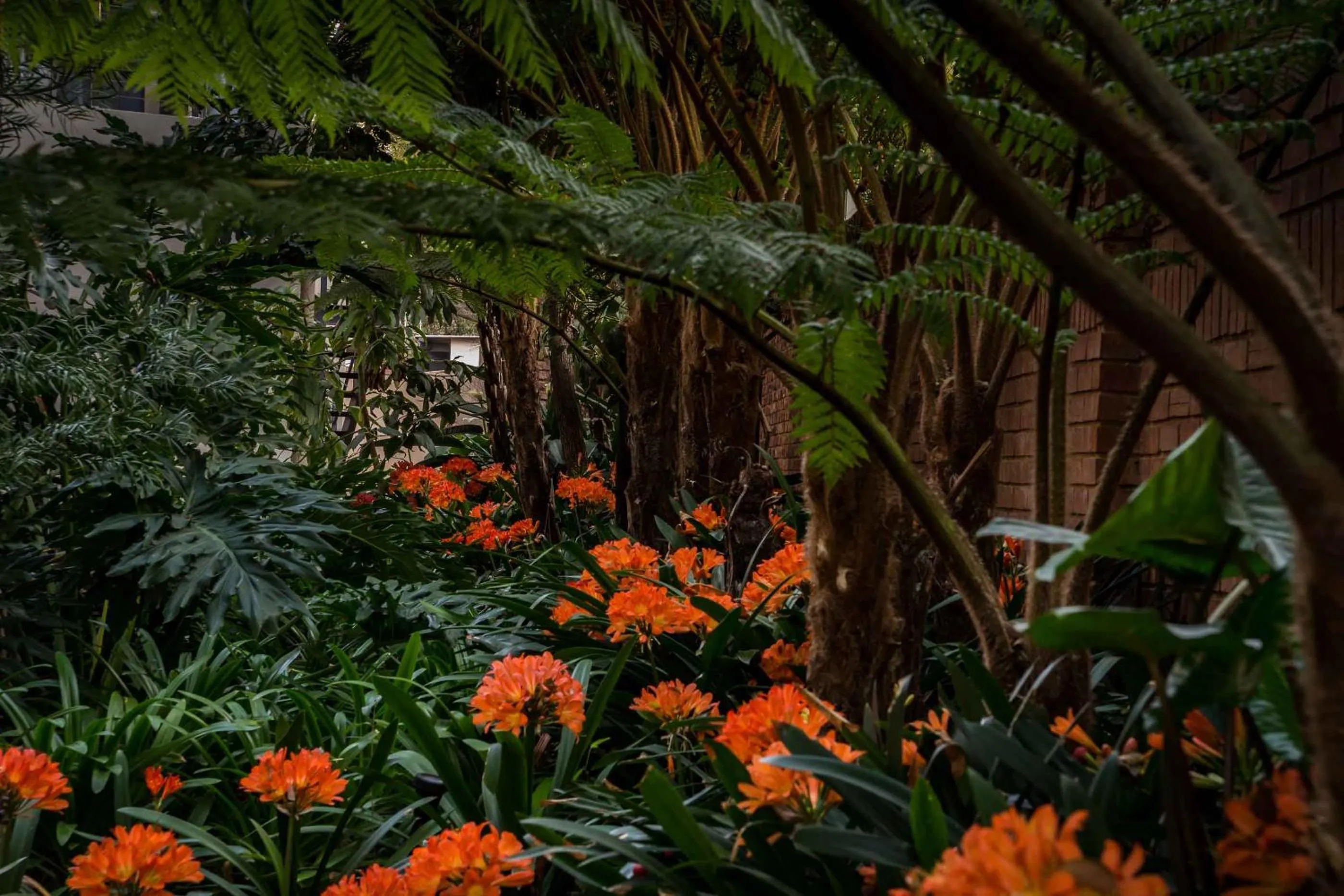 Garden in Hudson House