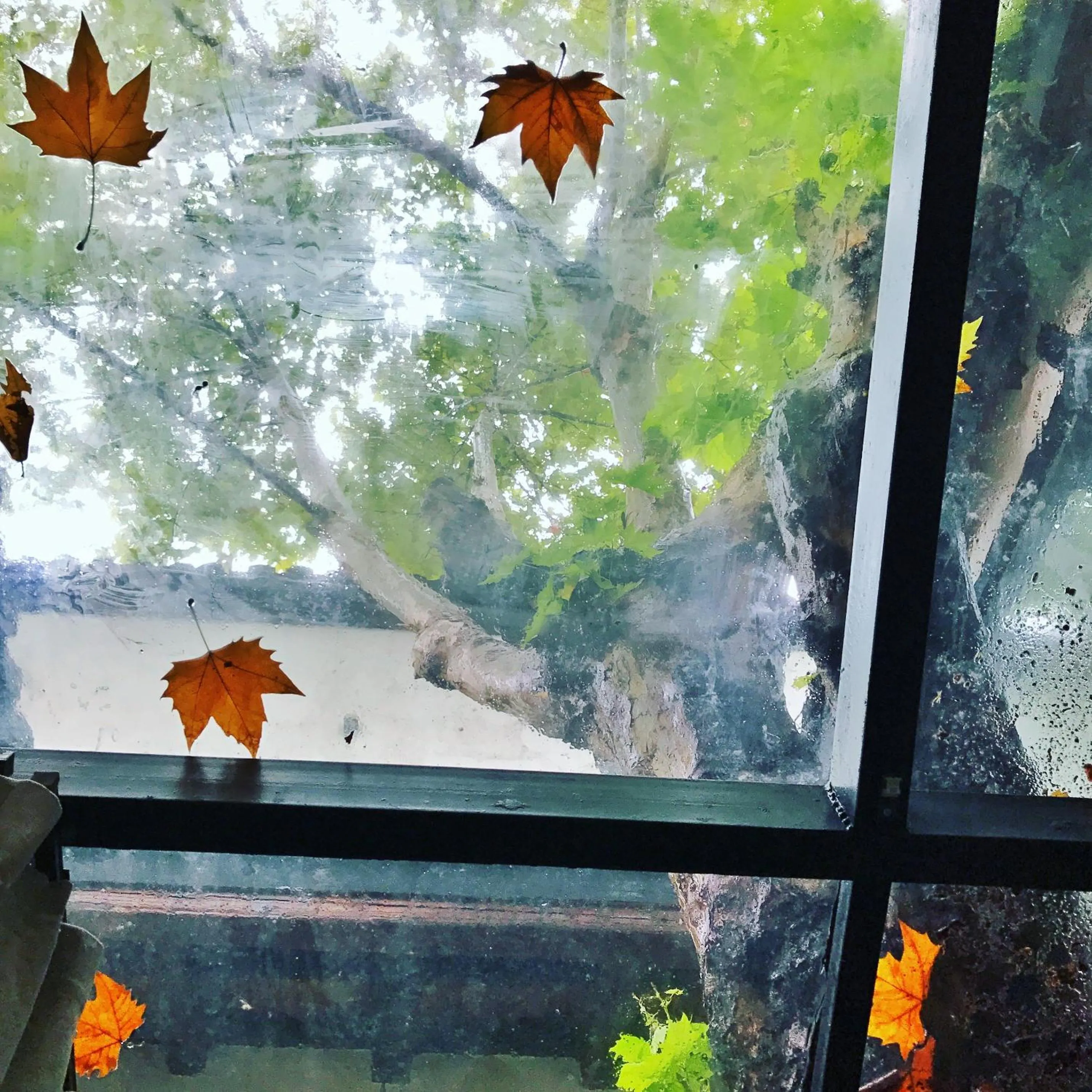 View (from property/room) in Youxiake Canal Hotel Hangzhou