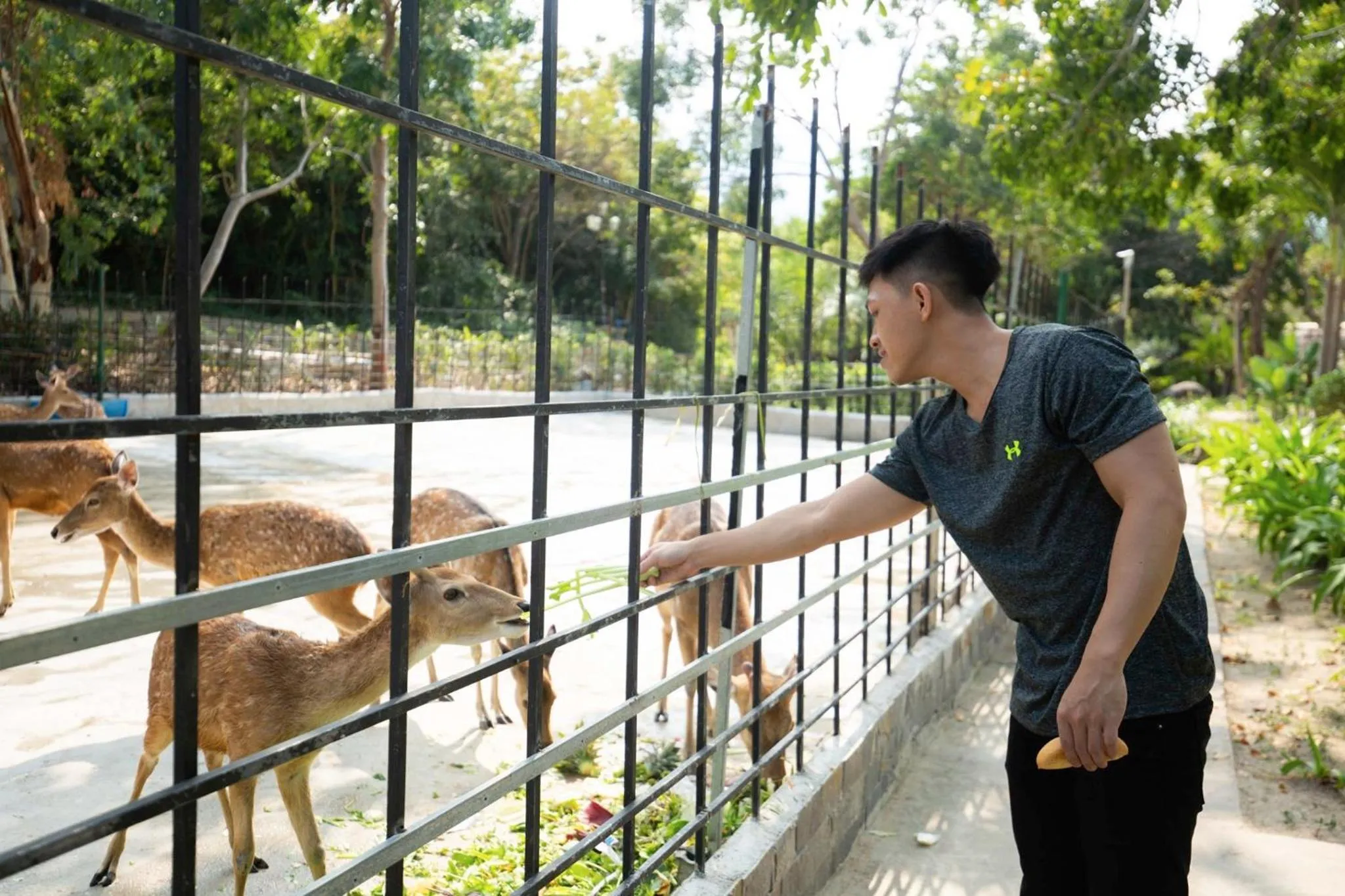 View (from property/room) in CostaBella Resort Nha Trang