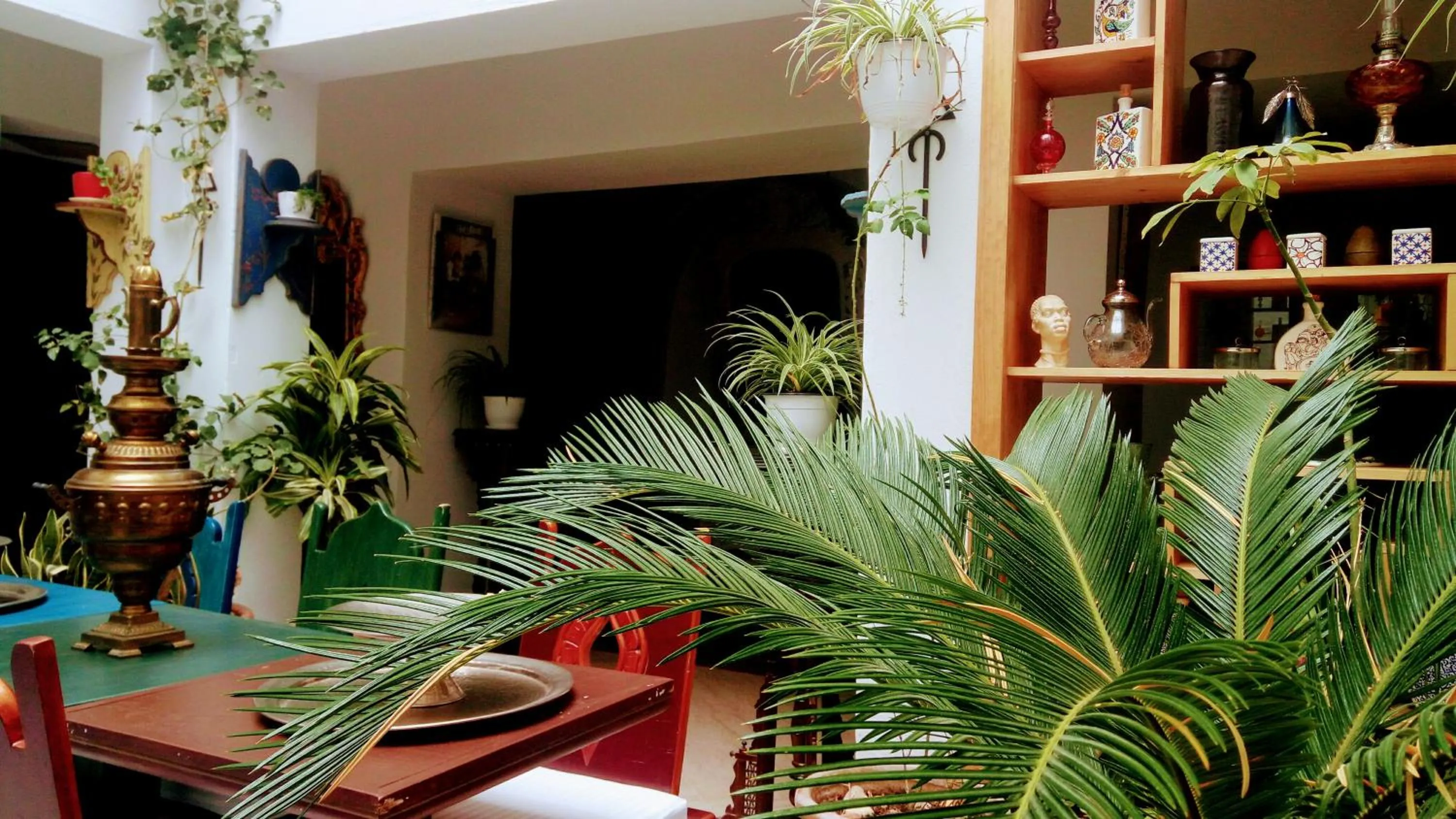 Inner courtyard view in El Patio Courtyard House