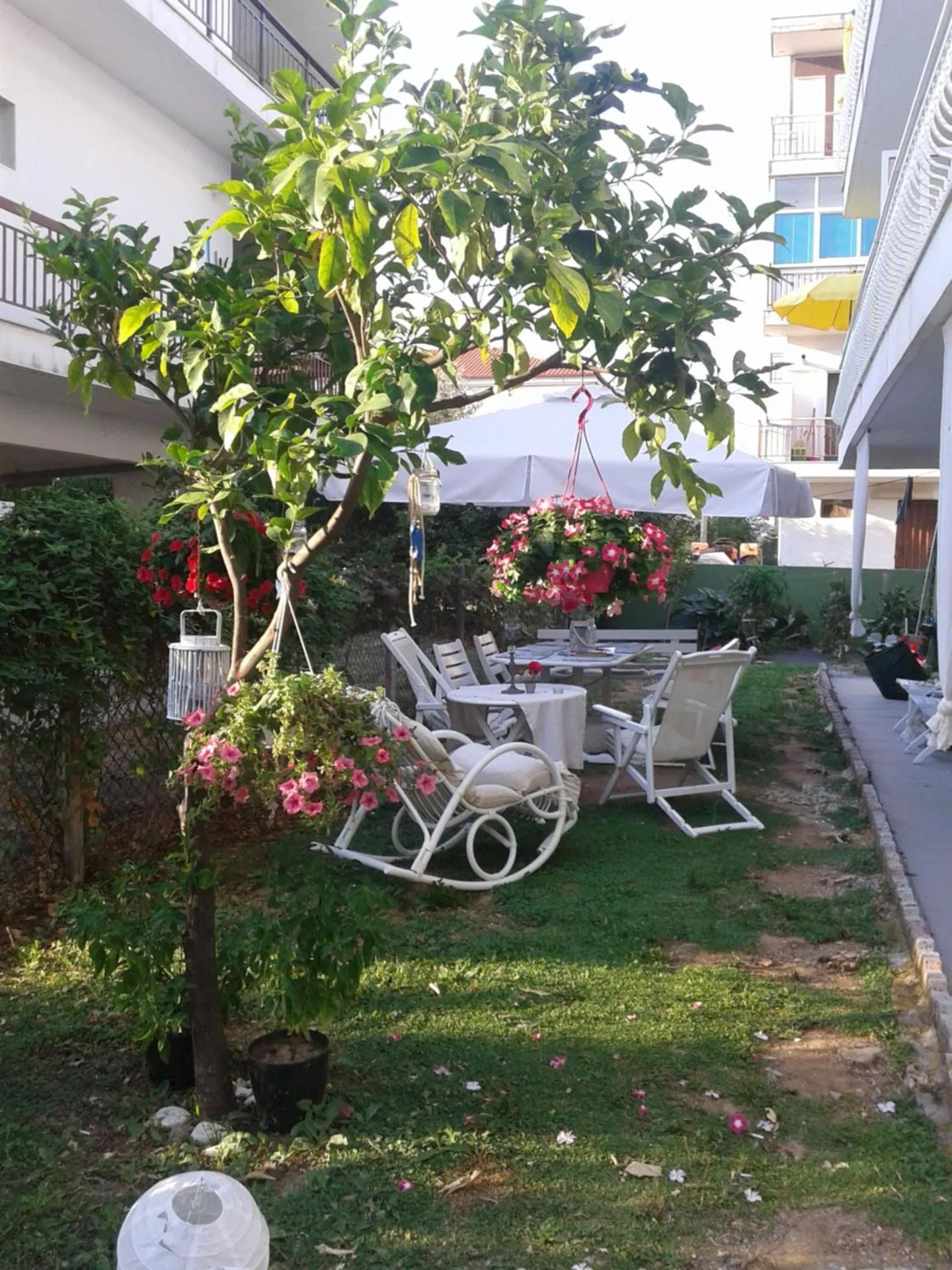 Garden in Dionisos Elia