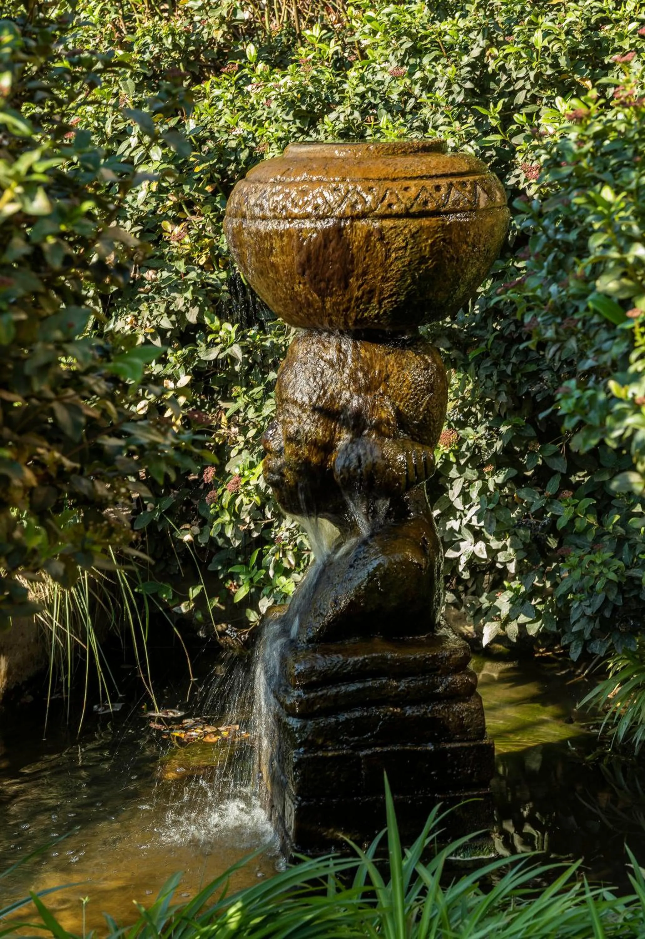 Garden in Kuruman Inn