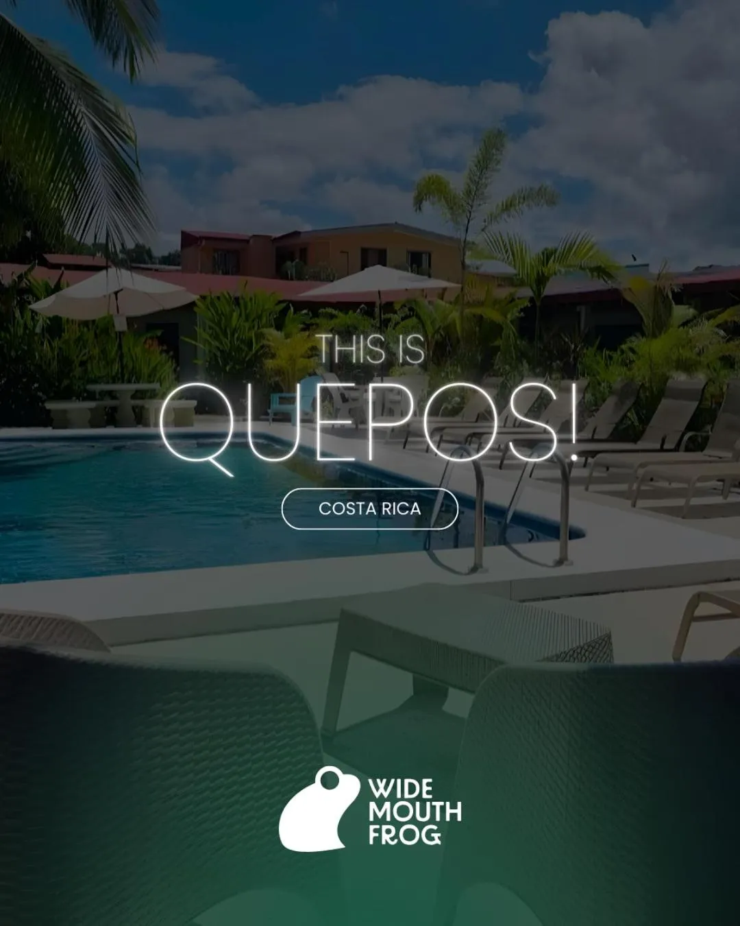 Day in Wide Mouth Frog Quepos