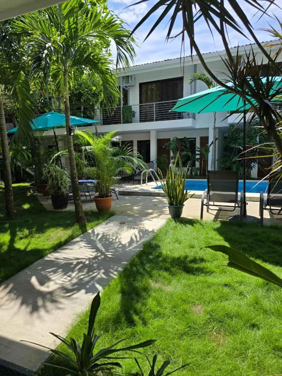 Garden view in Wide Mouth Frog Quepos