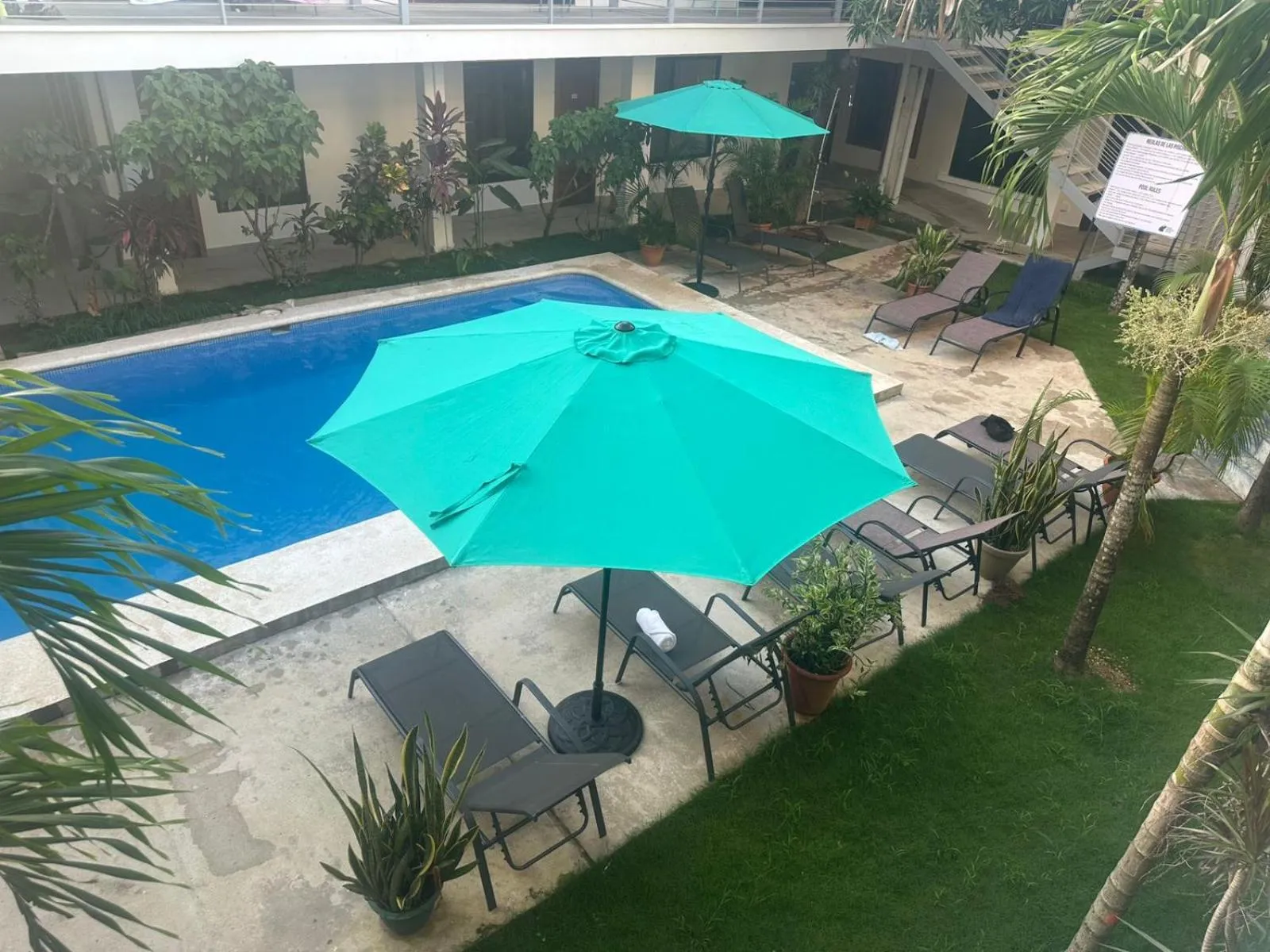Balcony/Terrace in Wide Mouth Frog Quepos