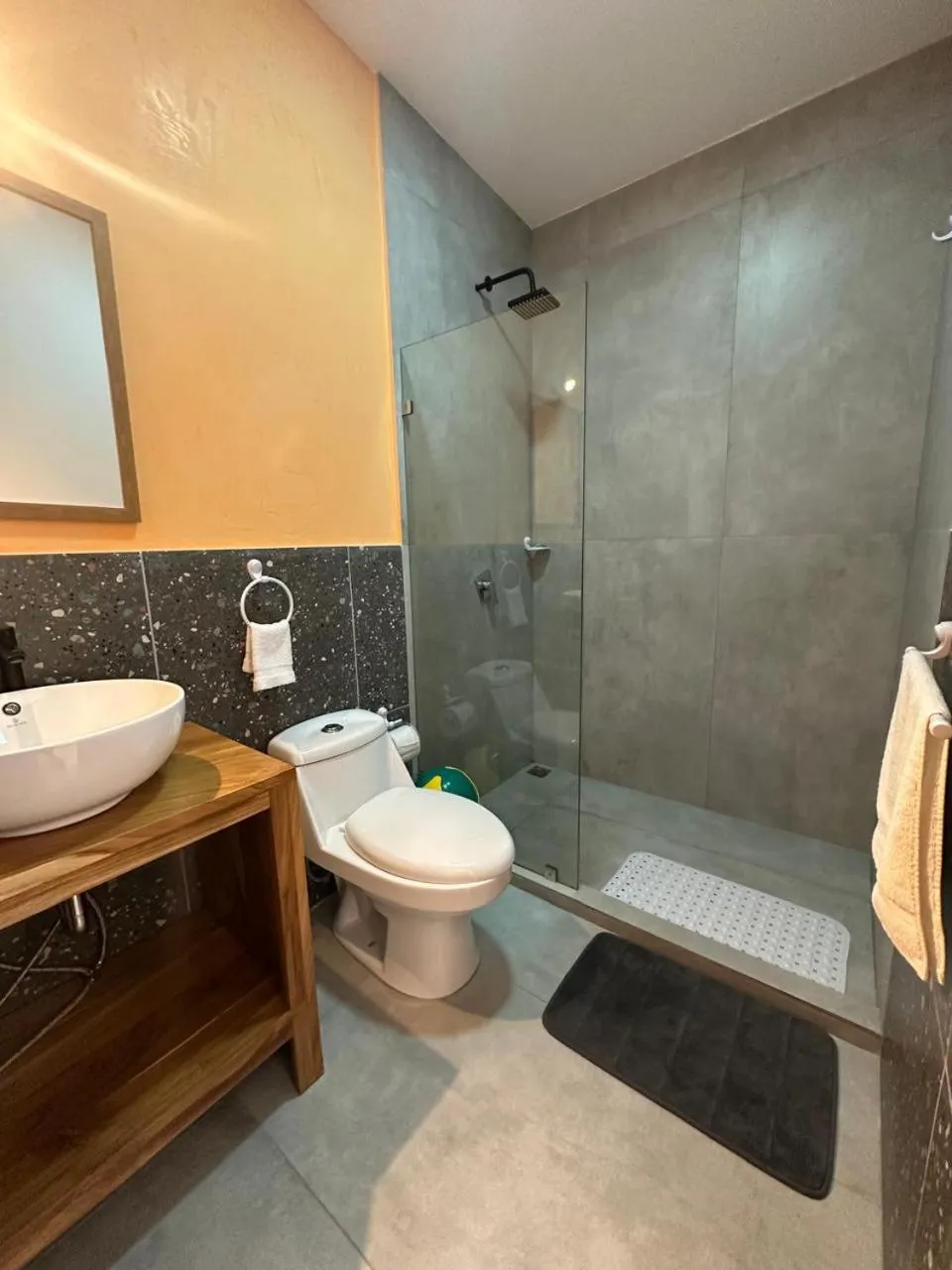 Bathroom in Wide Mouth Frog Quepos