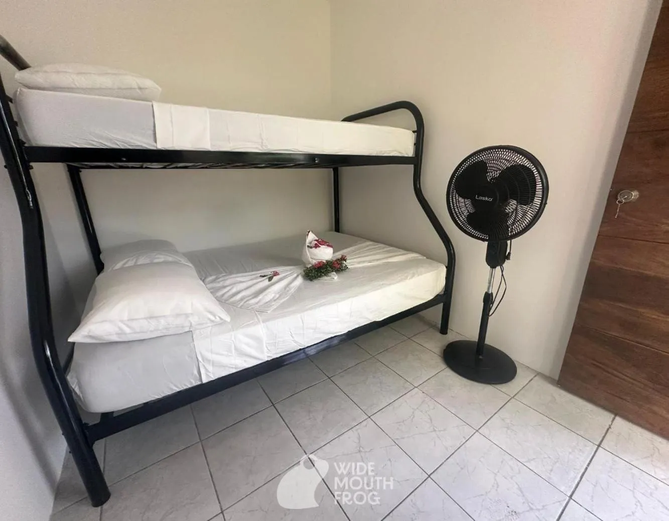 Photo of the whole room, Bed in Wide Mouth Frog Quepos