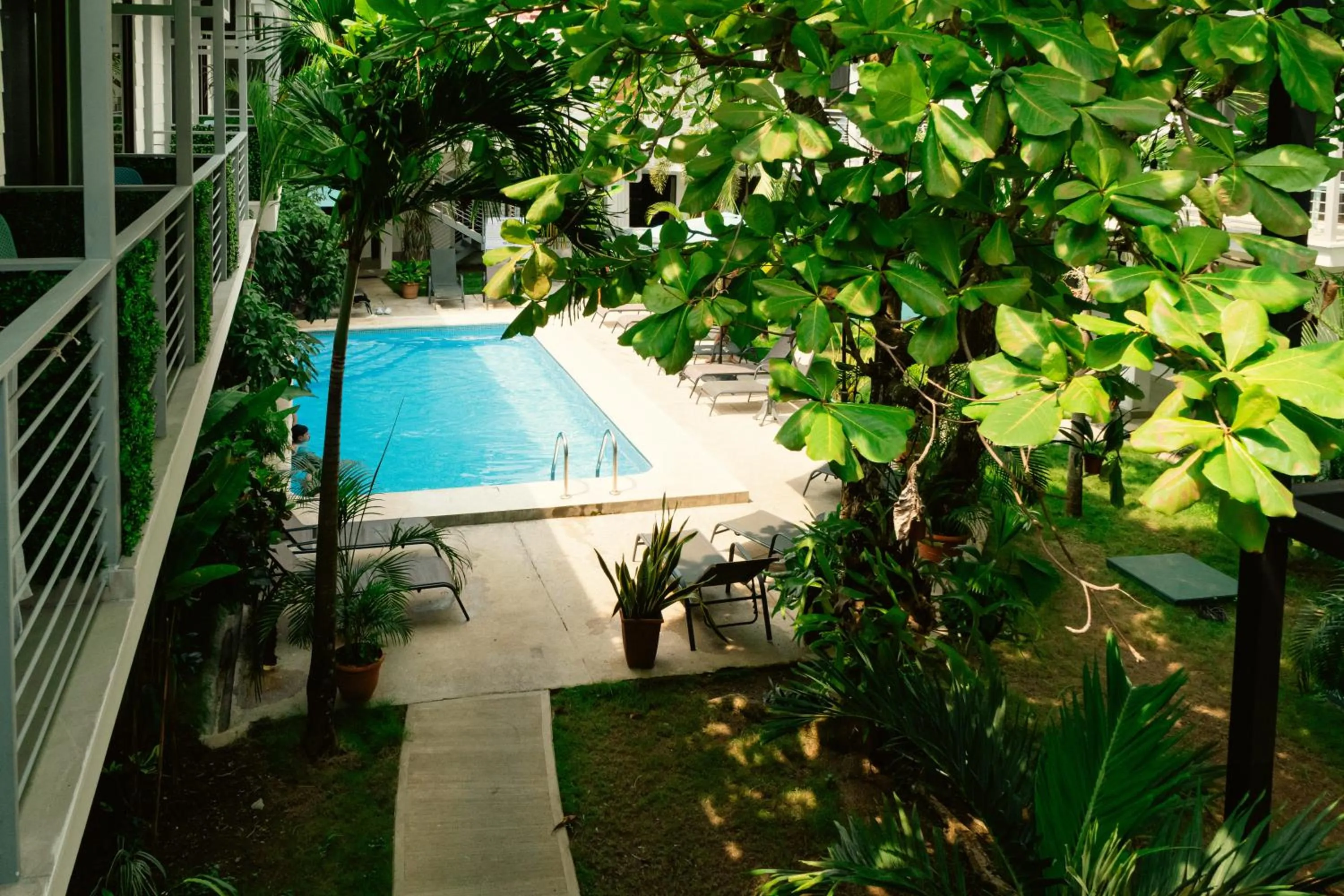 View (from property/room) in Wide Mouth Frog Quepos