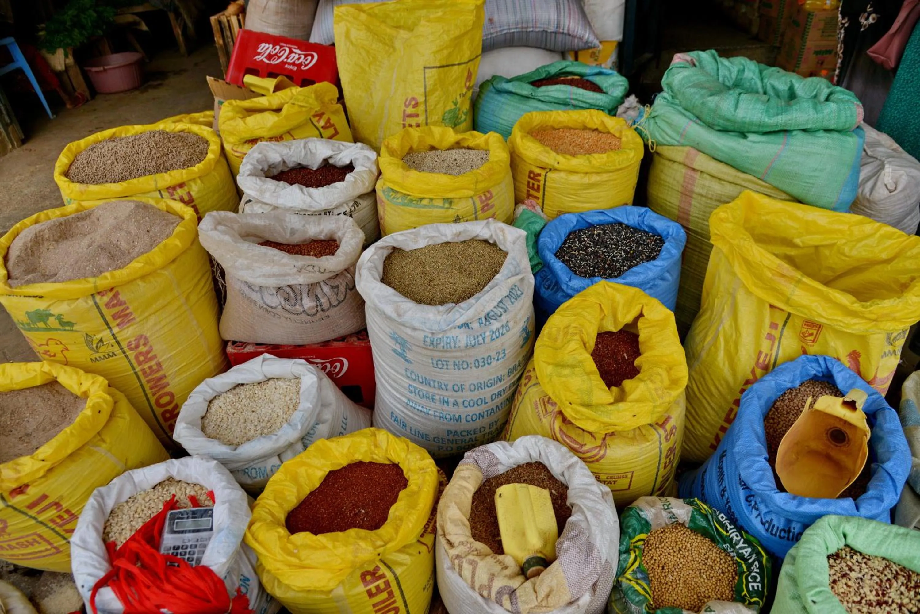 Activities in Mnarani Beach Club