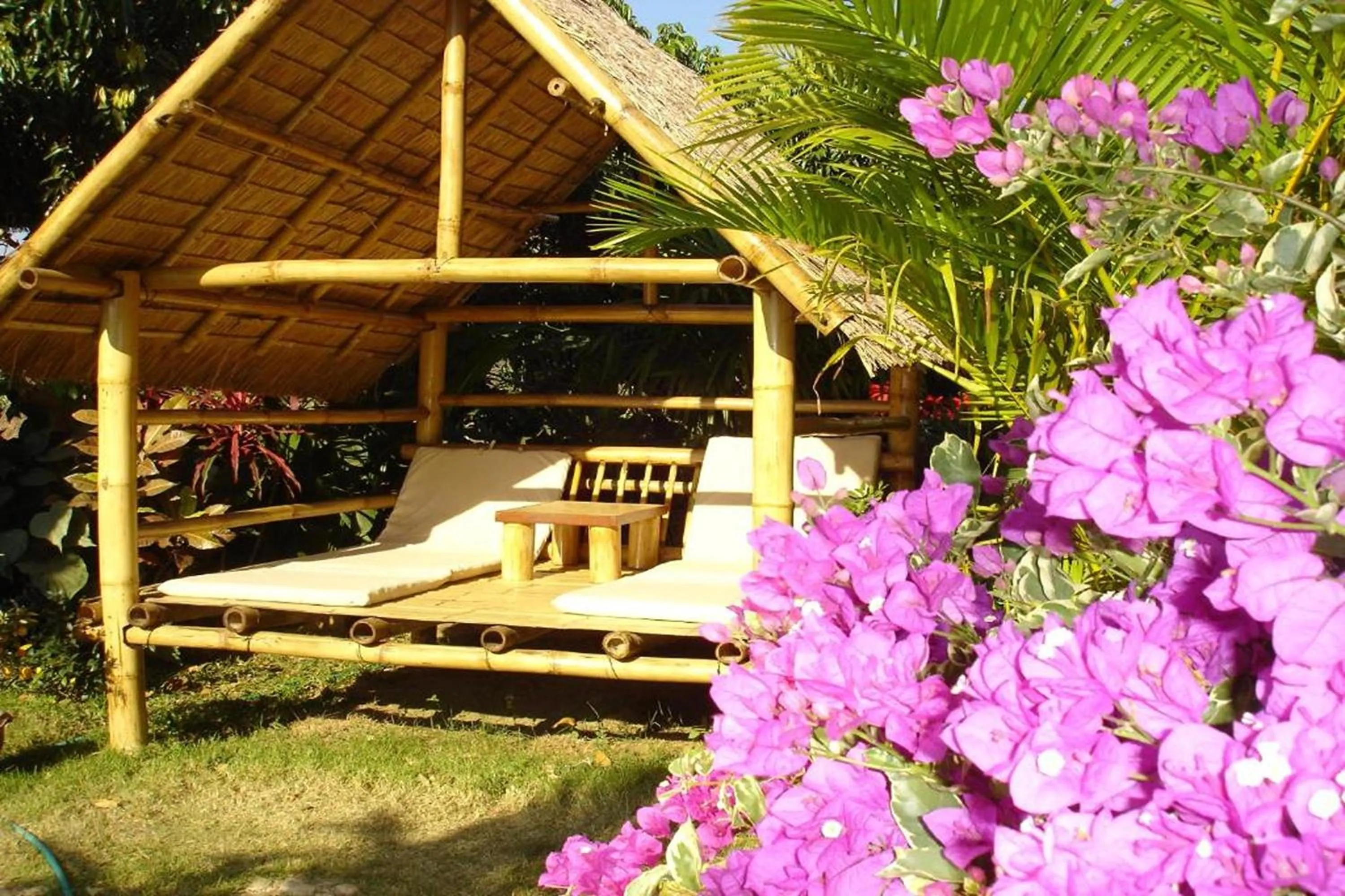 Property building in Old Tree's House