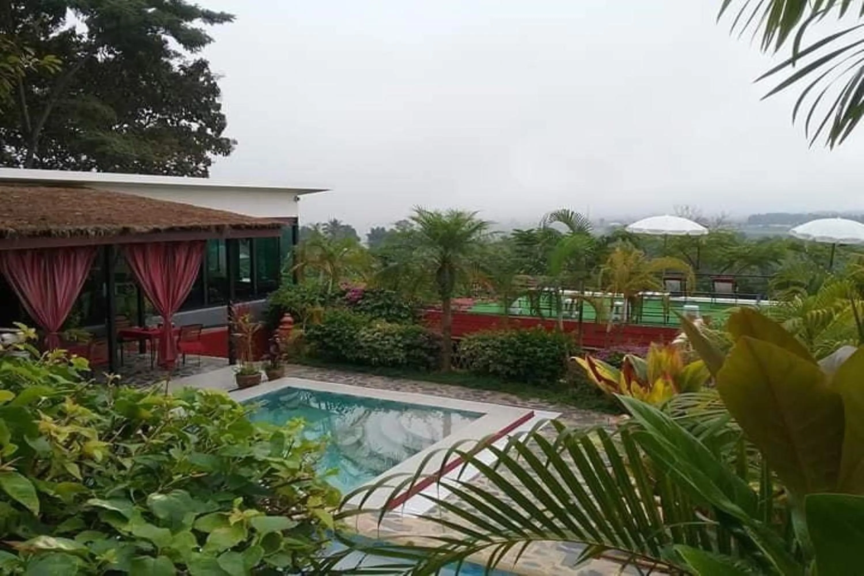 Swimming pool in Old Tree's House