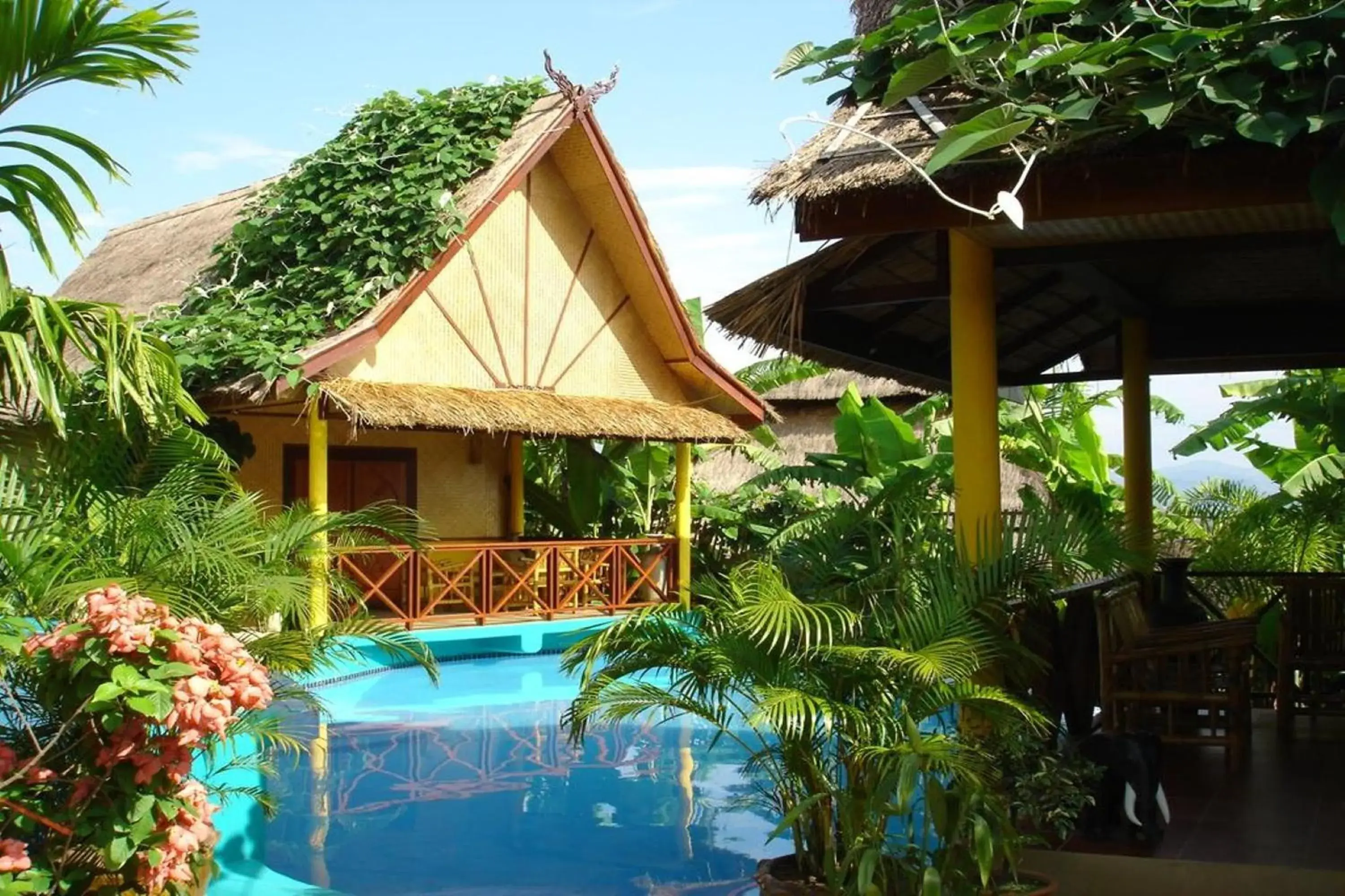 Old Tree's House Old Tree's House