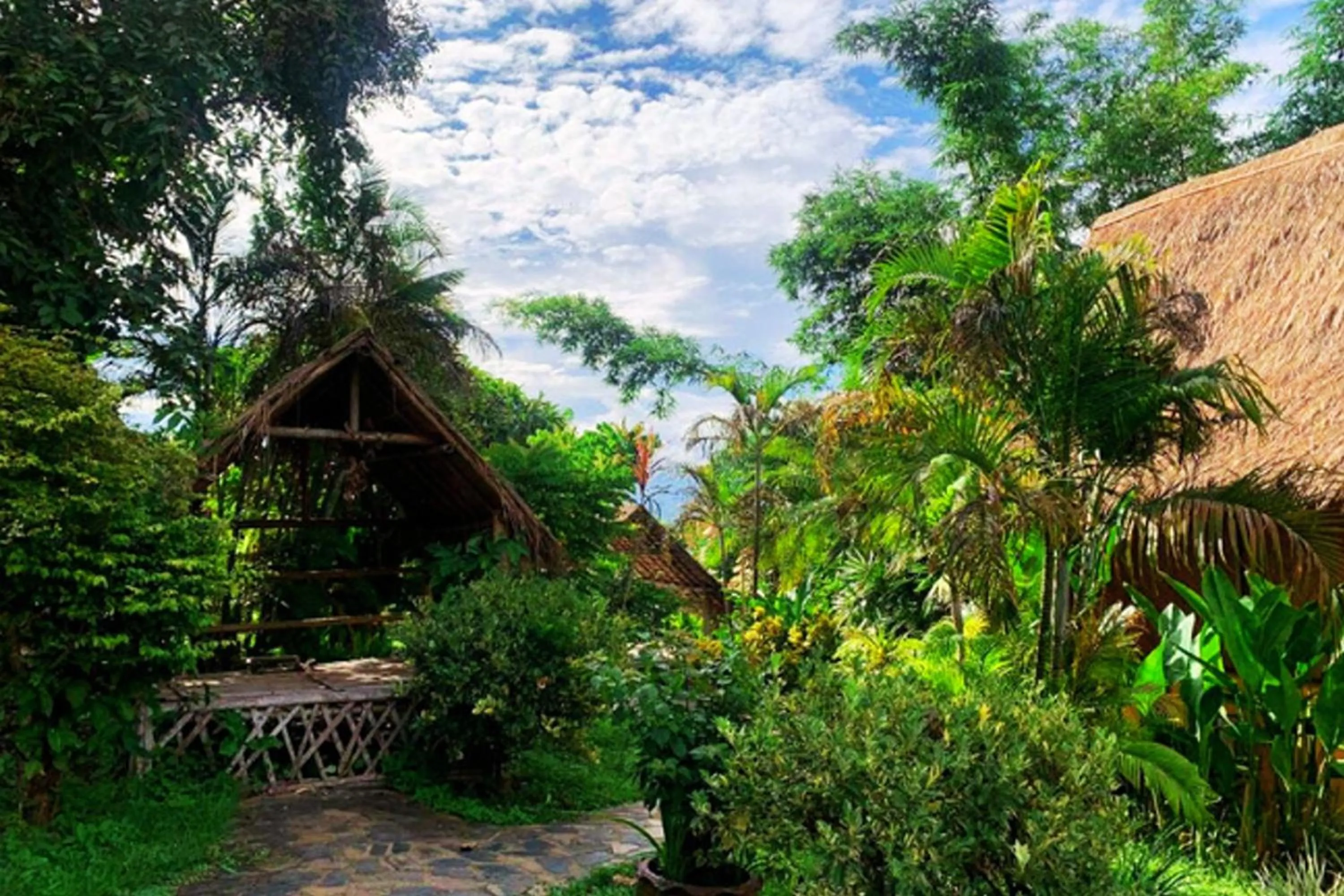 Garden view in Old Tree's House