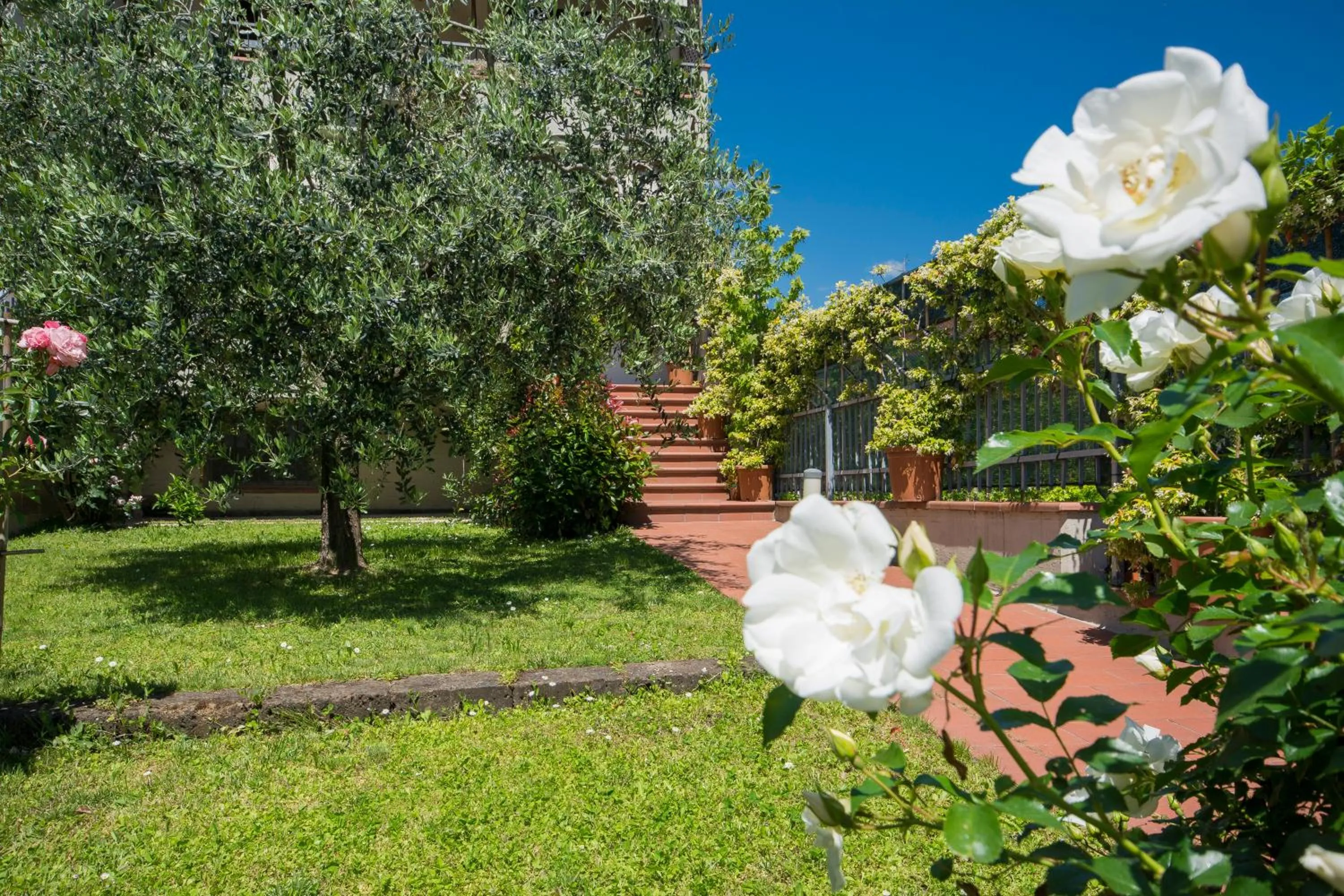 Garden in Bed & Breakfast Profumo D'Estate