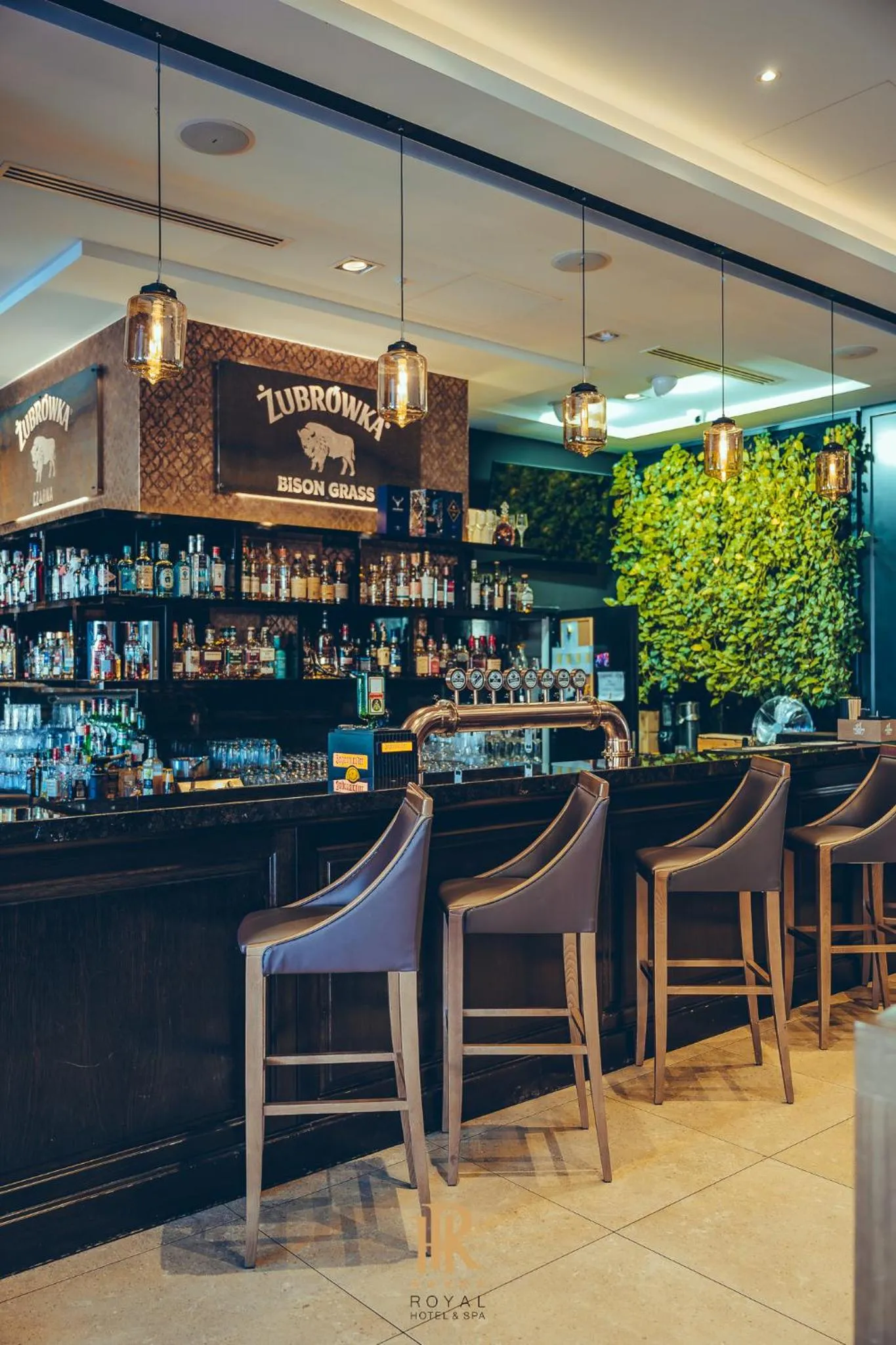 Restaurant/places to eat in Hotel Royal & Spa