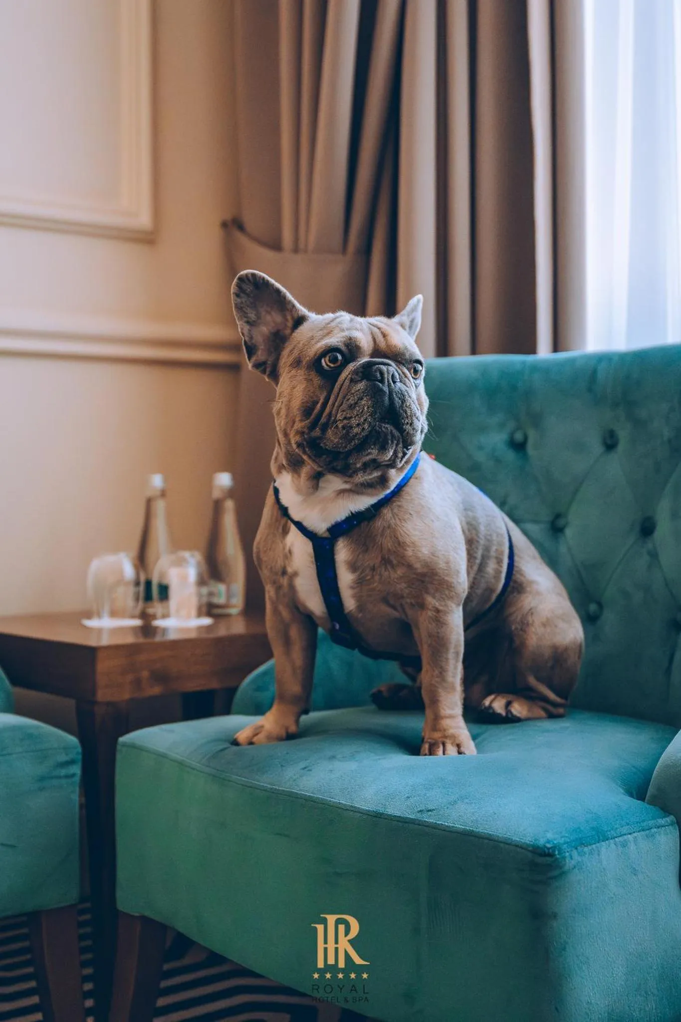Seating area in Hotel Royal & Spa