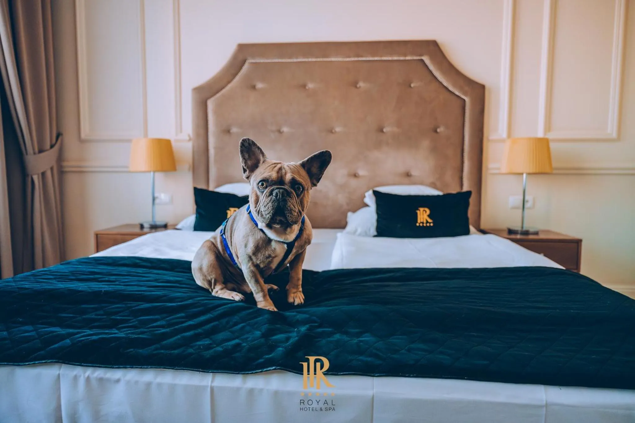 Bed in Hotel Royal & Spa