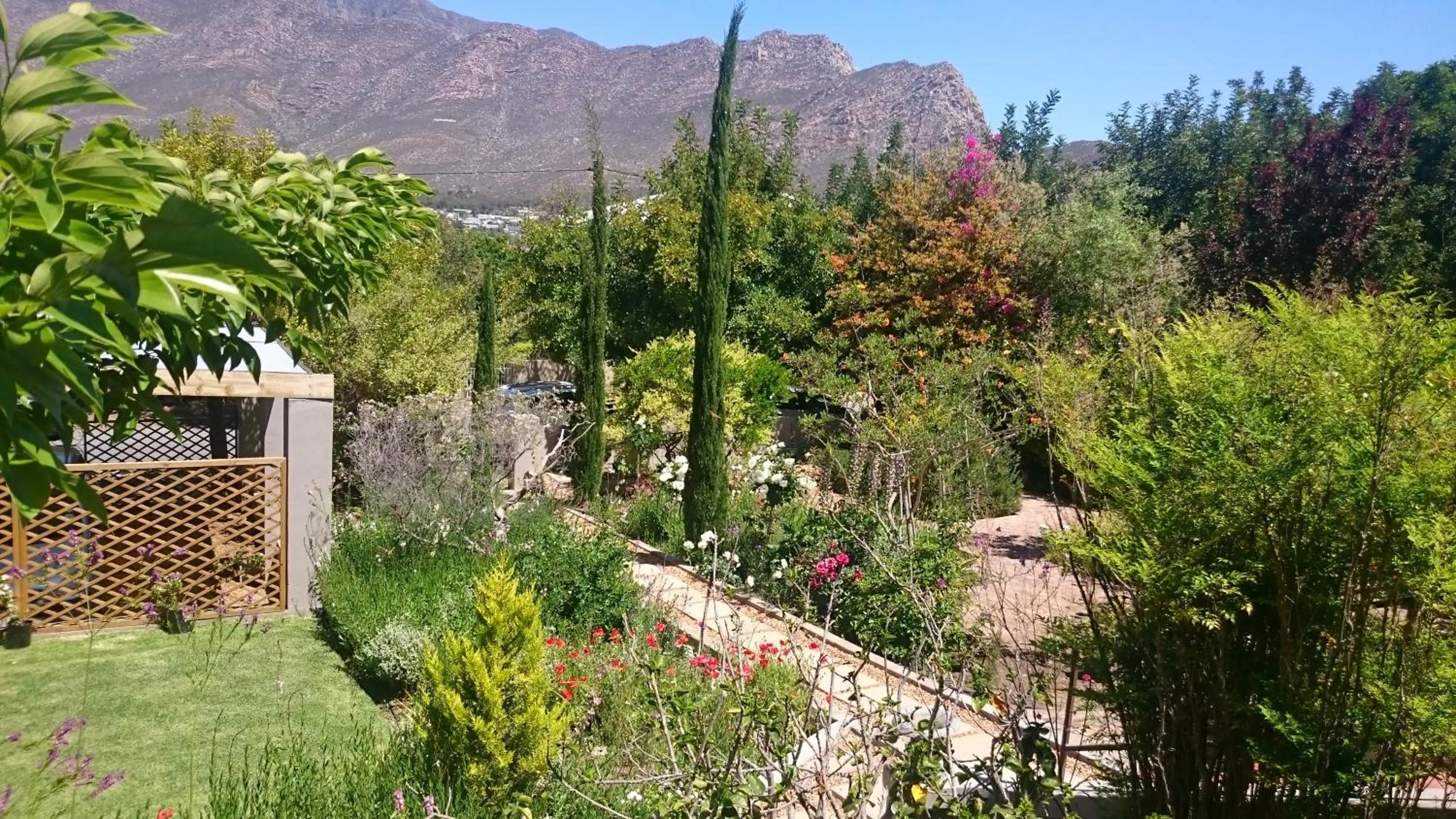 Garden in Abigail's Garden Cottage