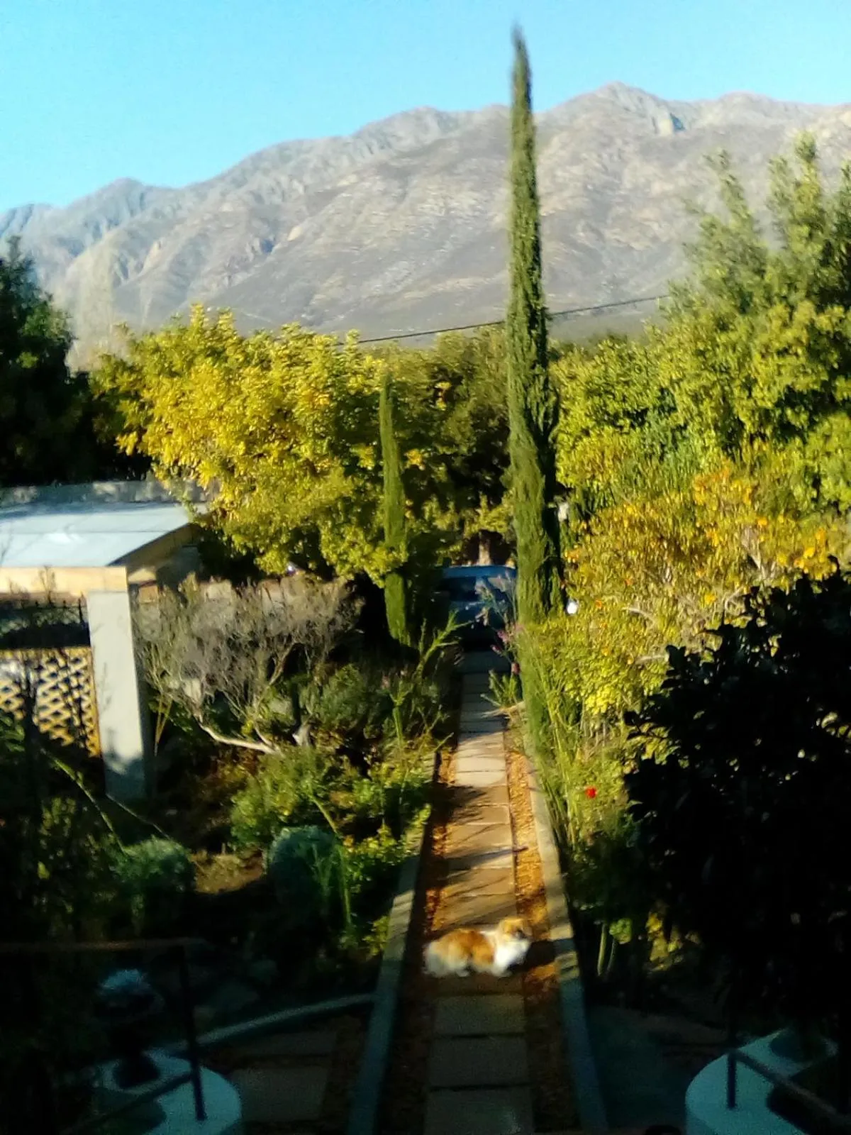 Garden view in Abigail's Garden Cottage