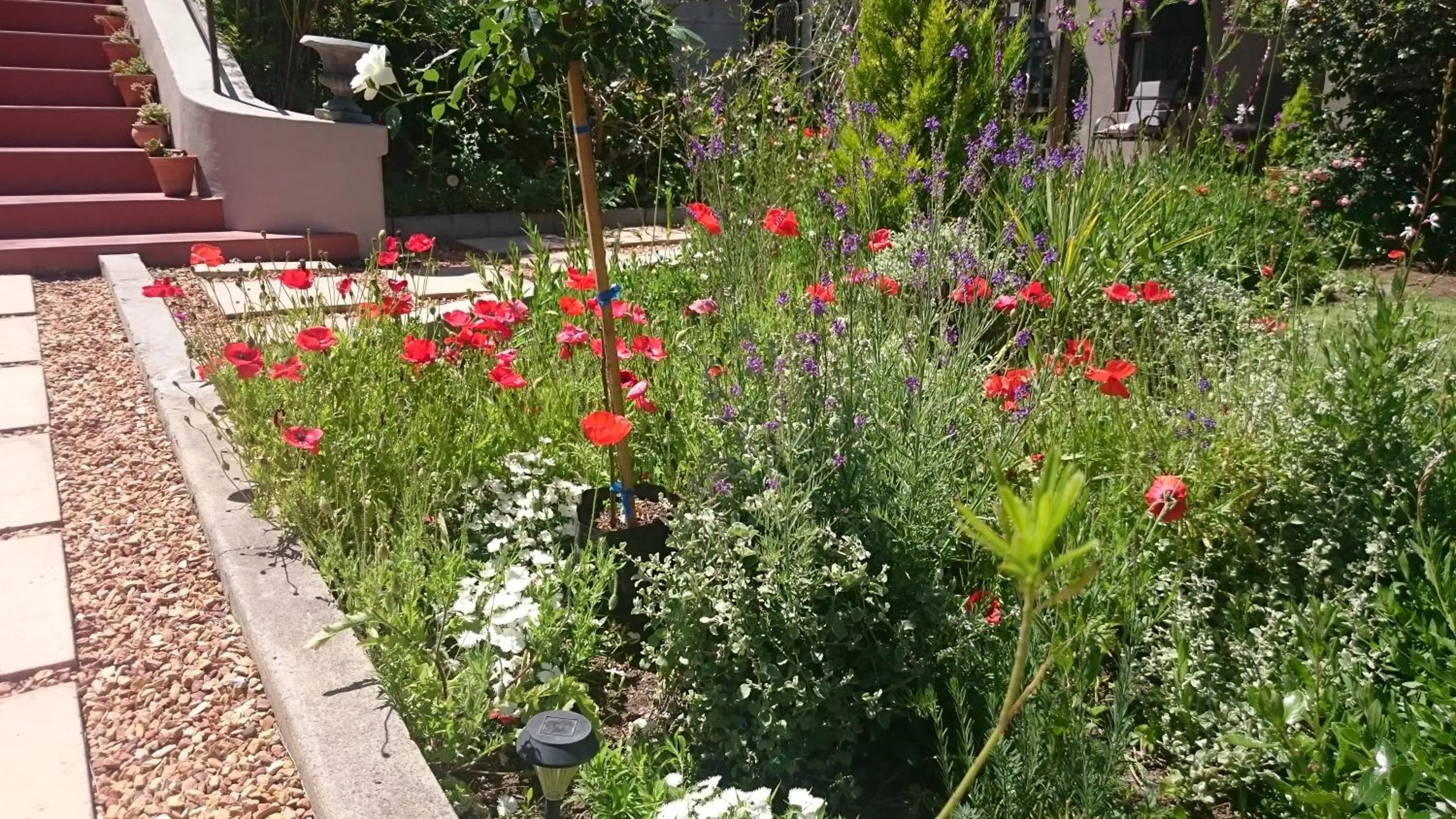 Other in Abigail's Garden Cottage