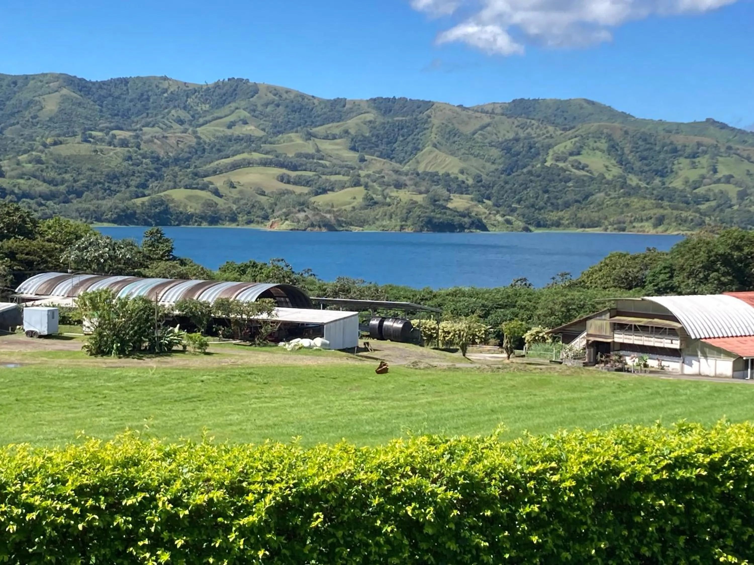 Lake view in Los Héroes