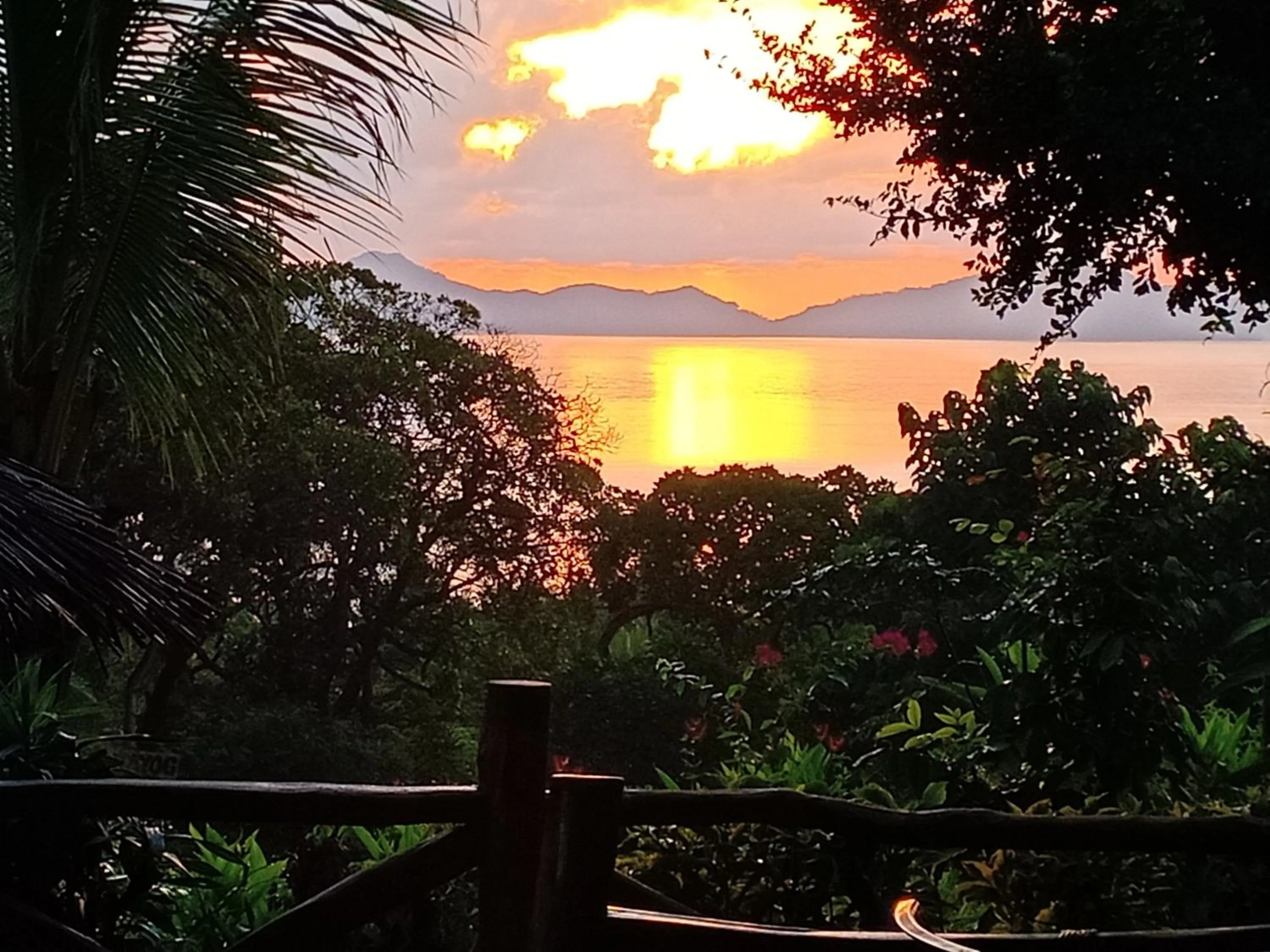 Restaurant/places to eat in Erlittop Nature Lodge