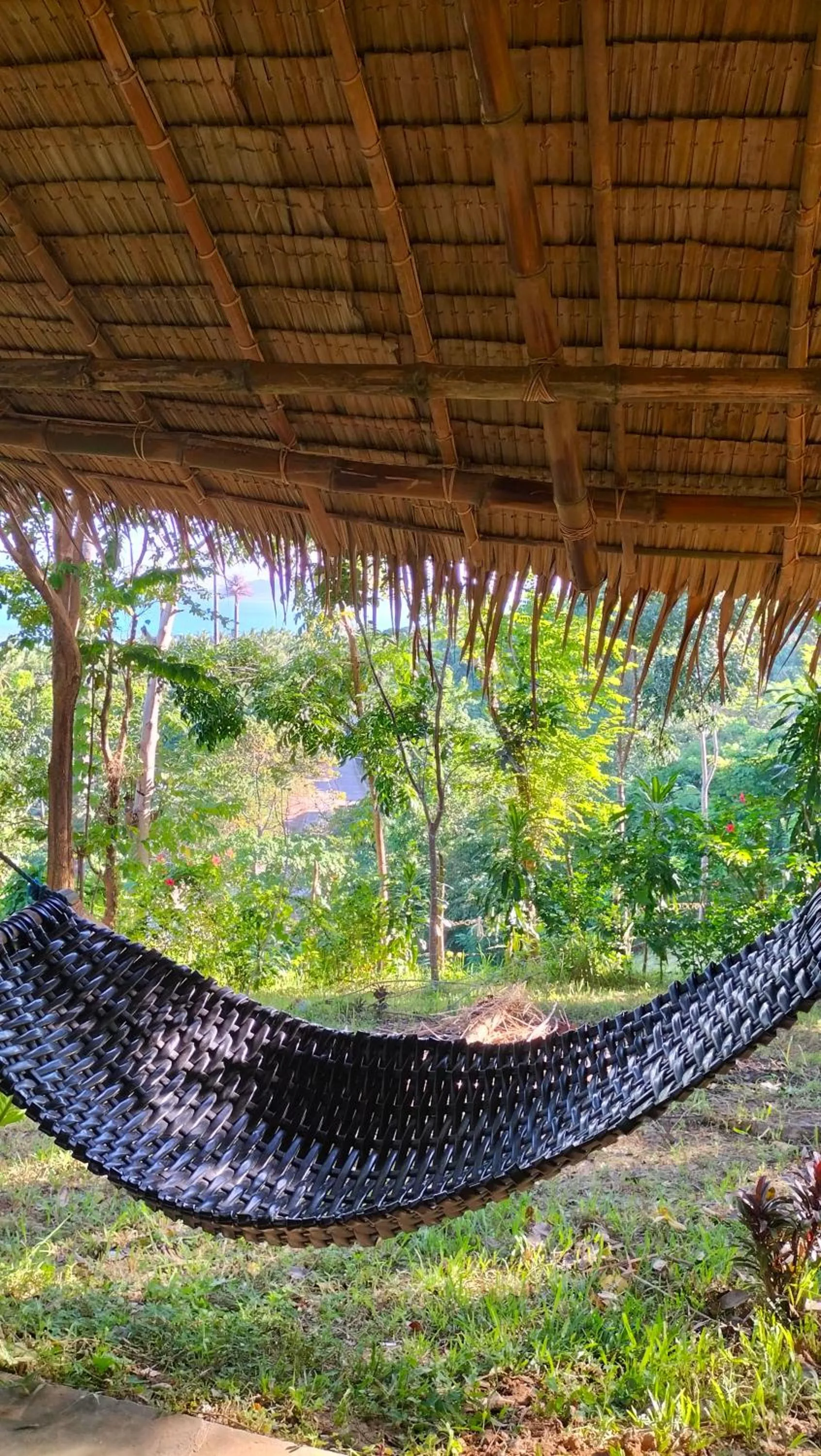 Natural landscape in Erlittop Nature Lodge