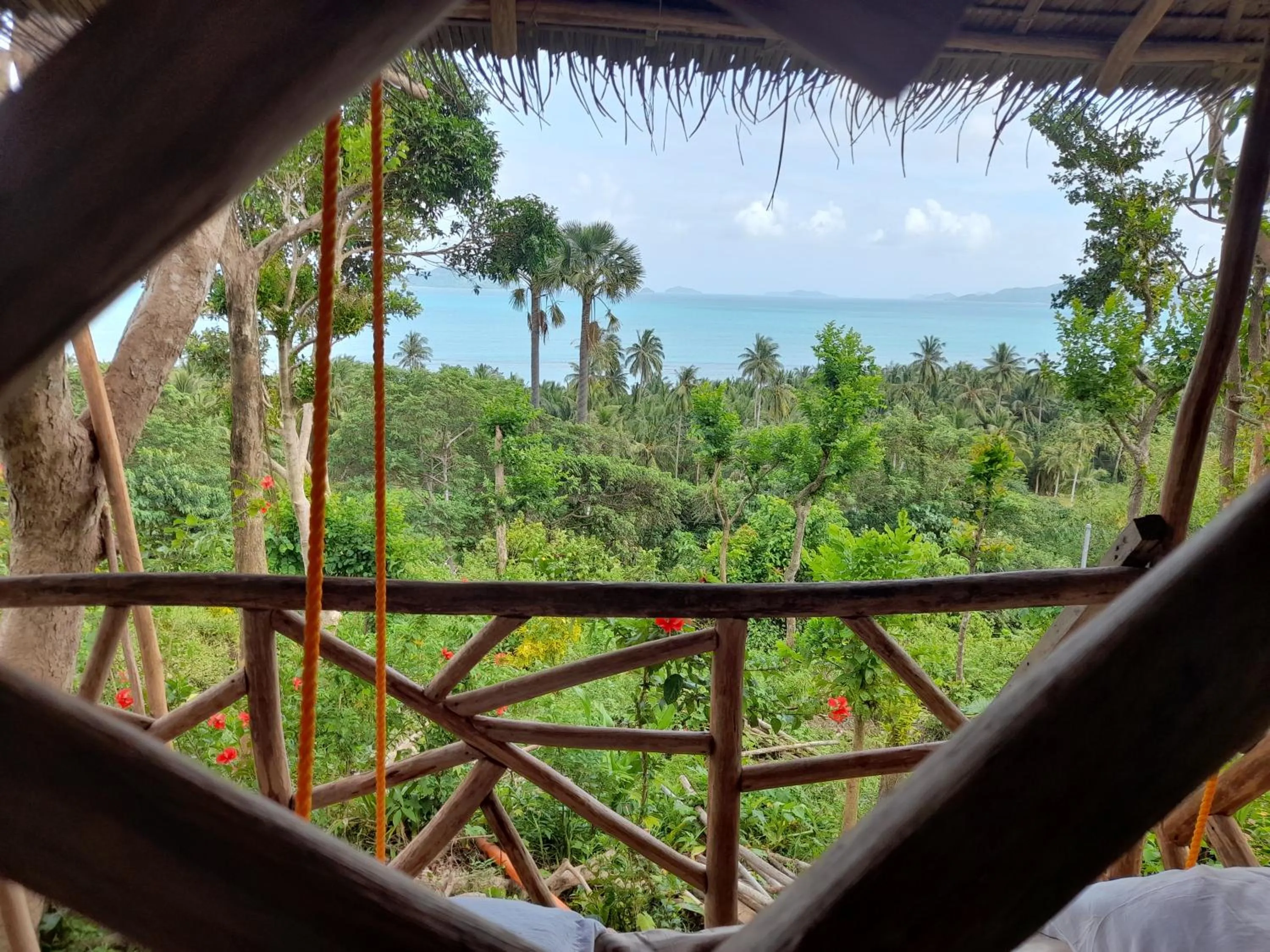 View (from property/room) in Erlittop Nature Lodge