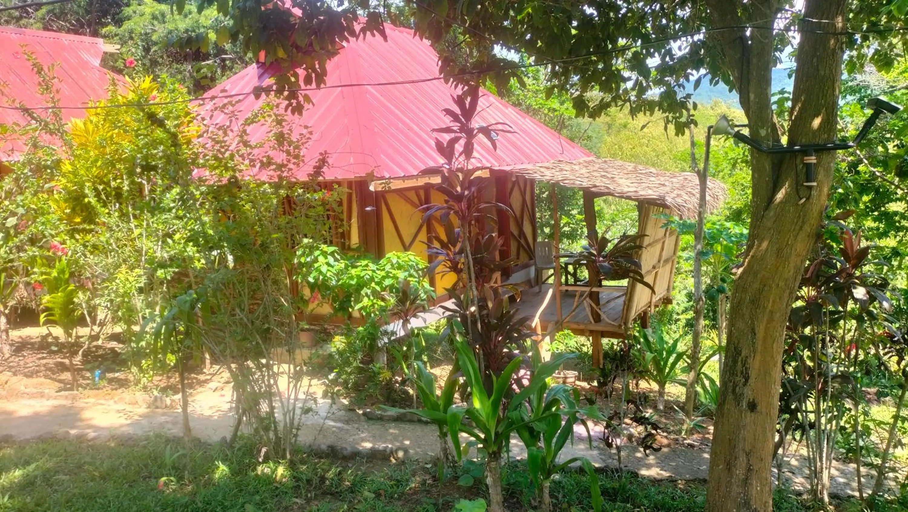 Garden view in Erlittop Nature Lodge