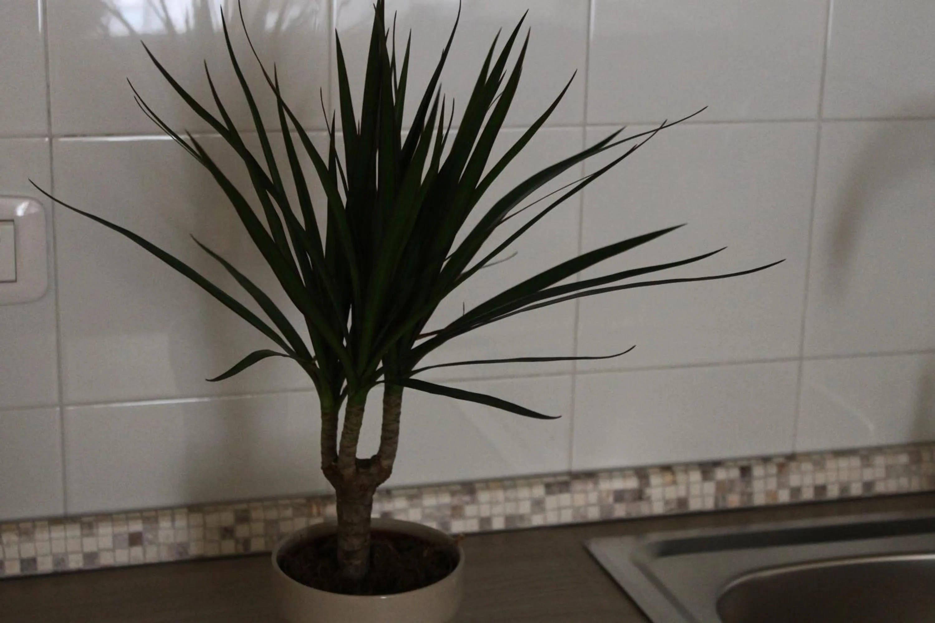 B&B La Torretta Chiaia