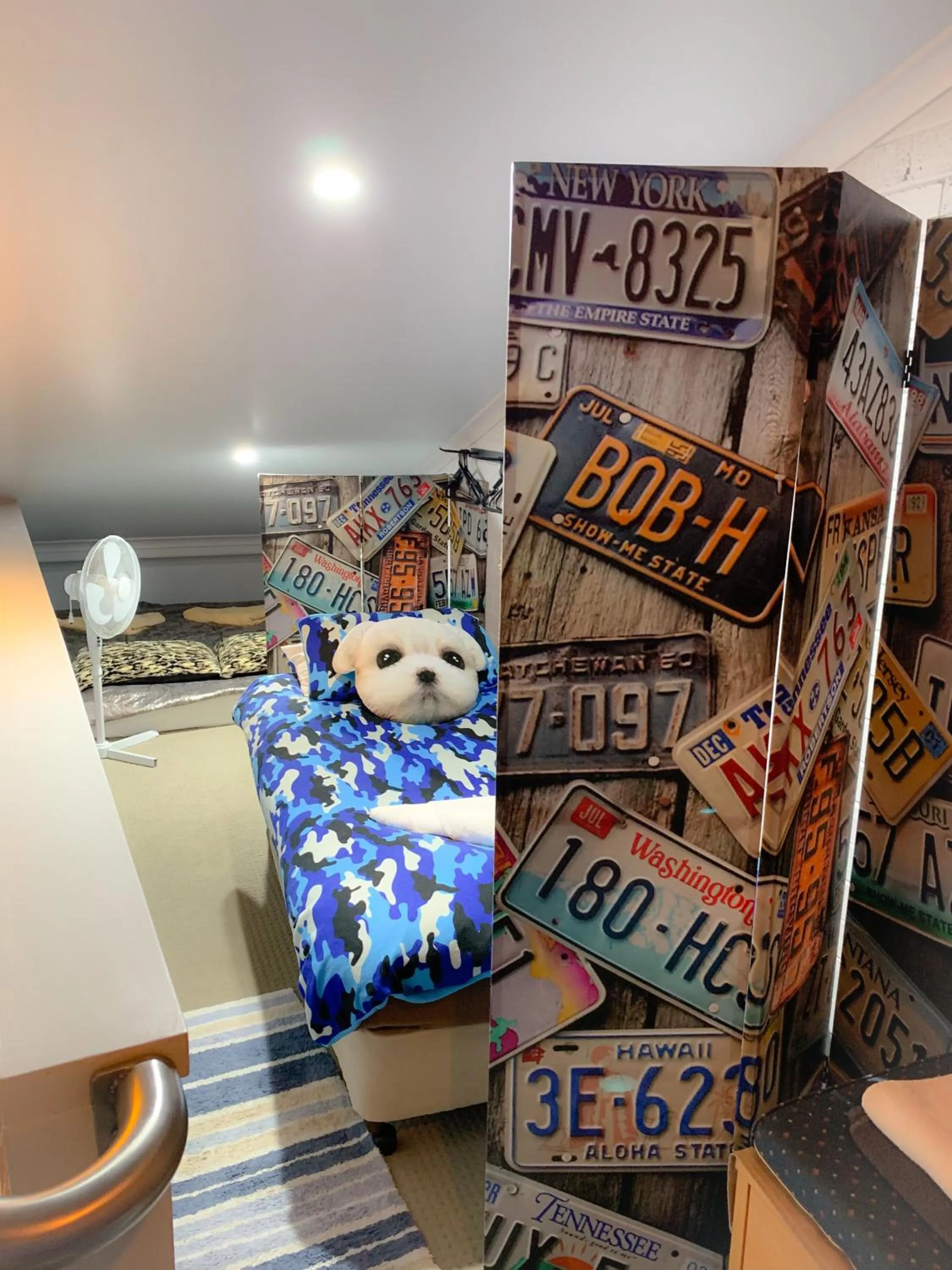 Bed in Westside Studio Apartments