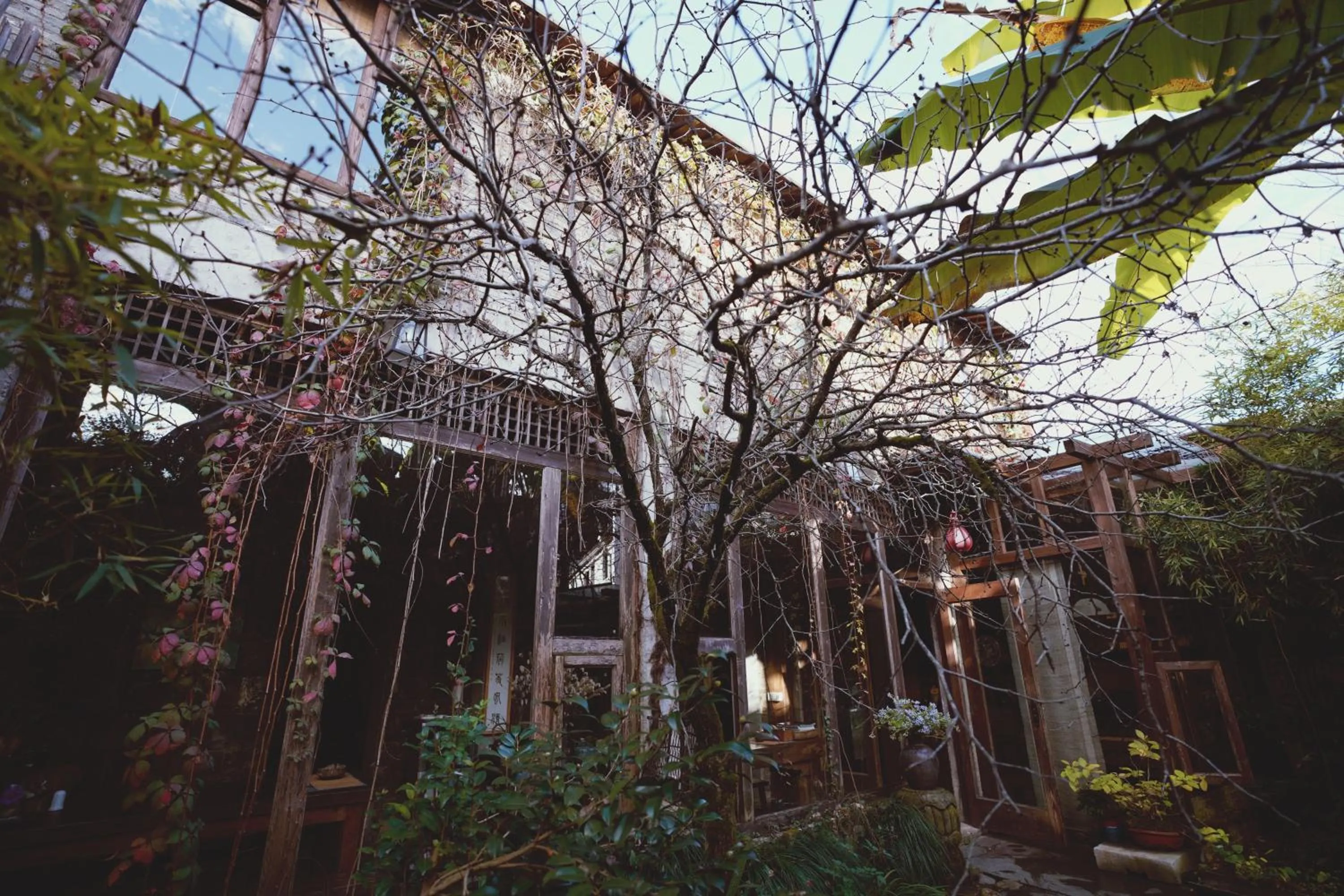 WuYuan QiYe YanXiang Guesthouse