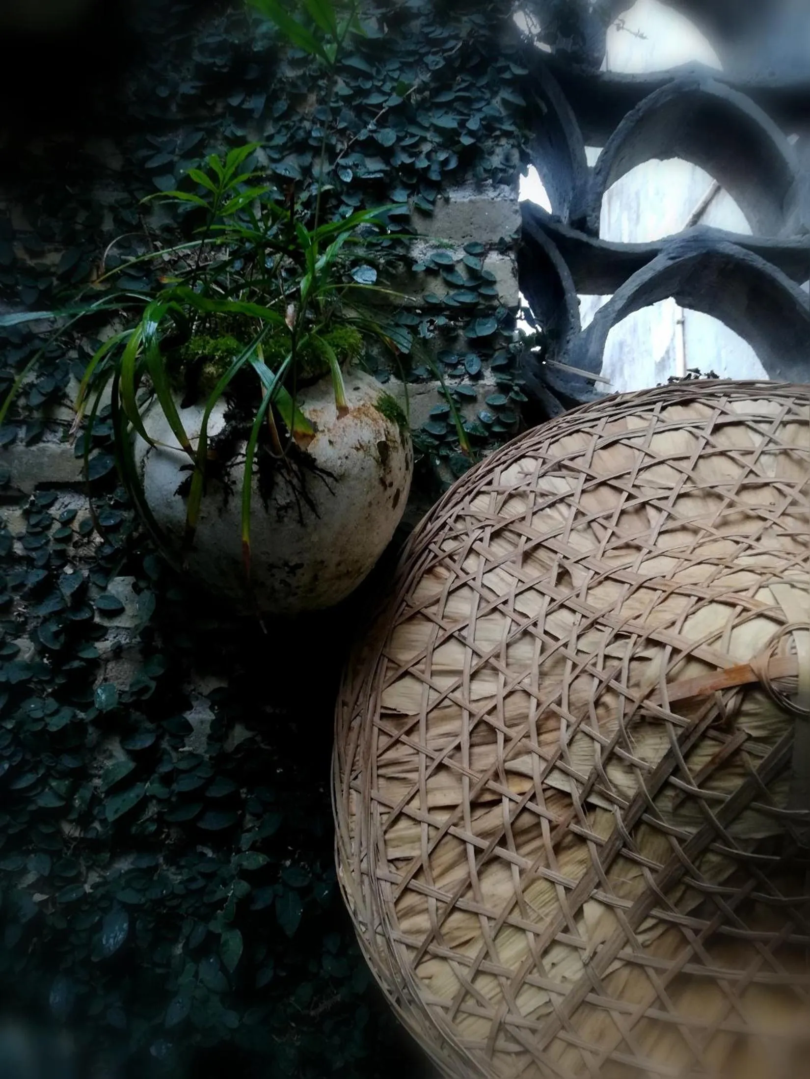 WuYuan QiYe YanXiang Guesthouse