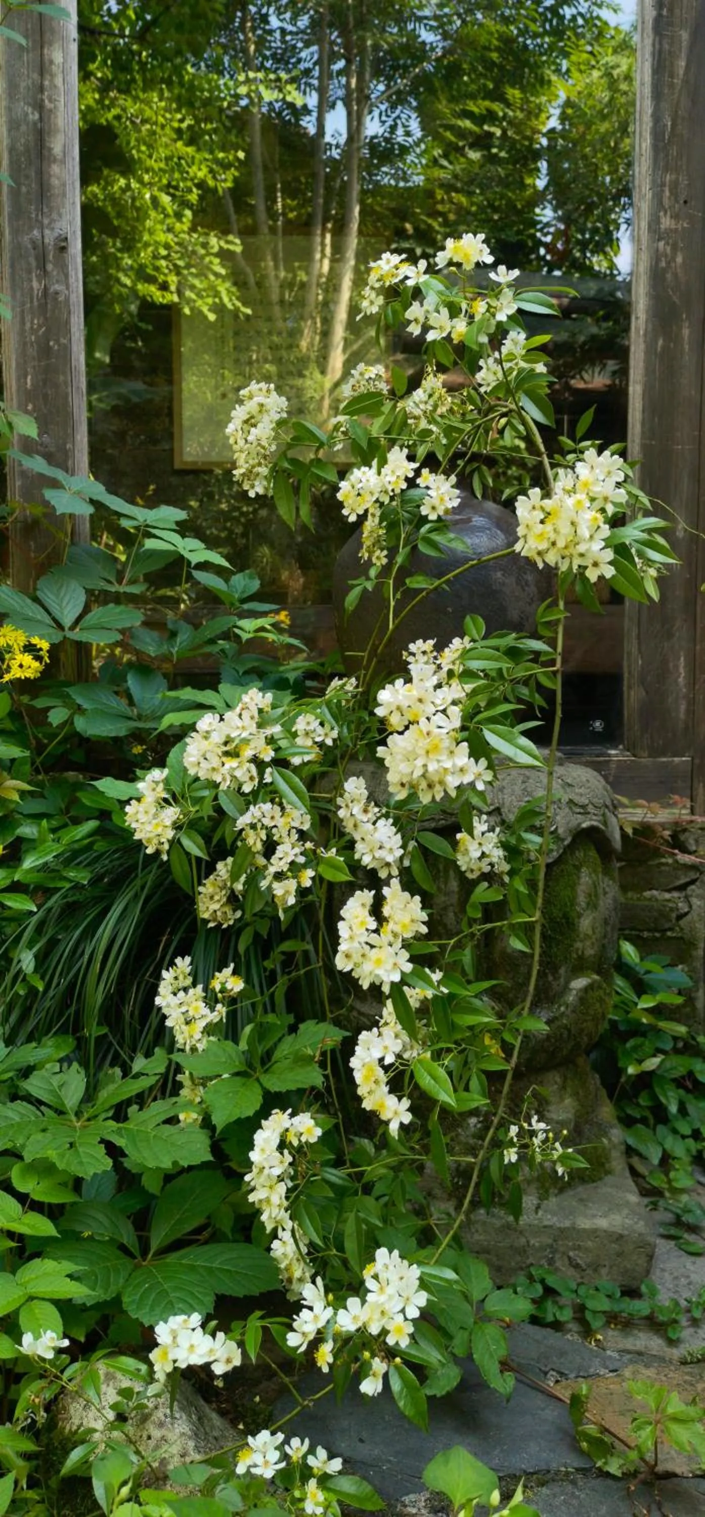 WuYuan QiYe YanXiang Guesthouse