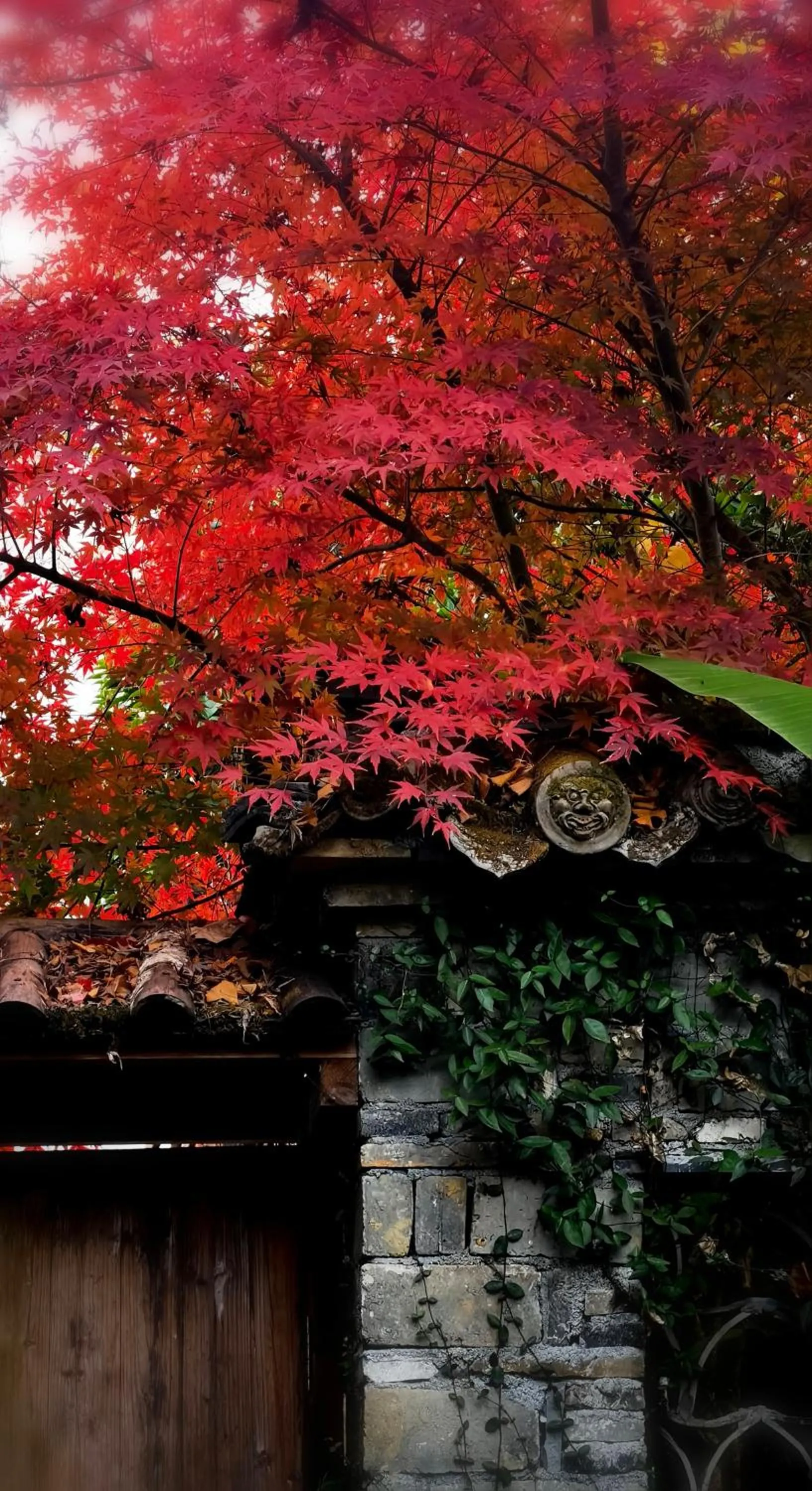 WuYuan QiYe YanXiang Guesthouse